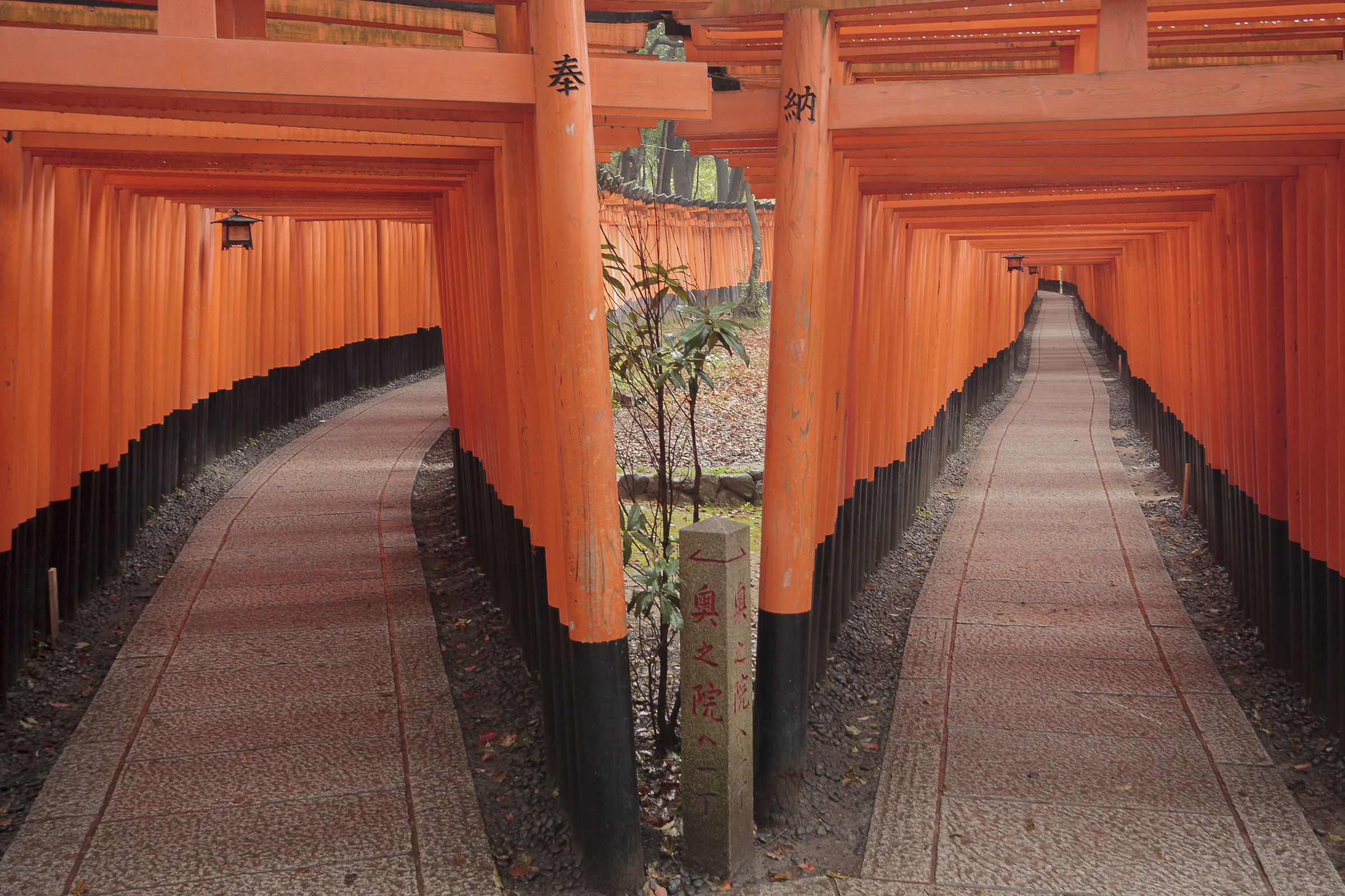 Which way to choose? The Third.