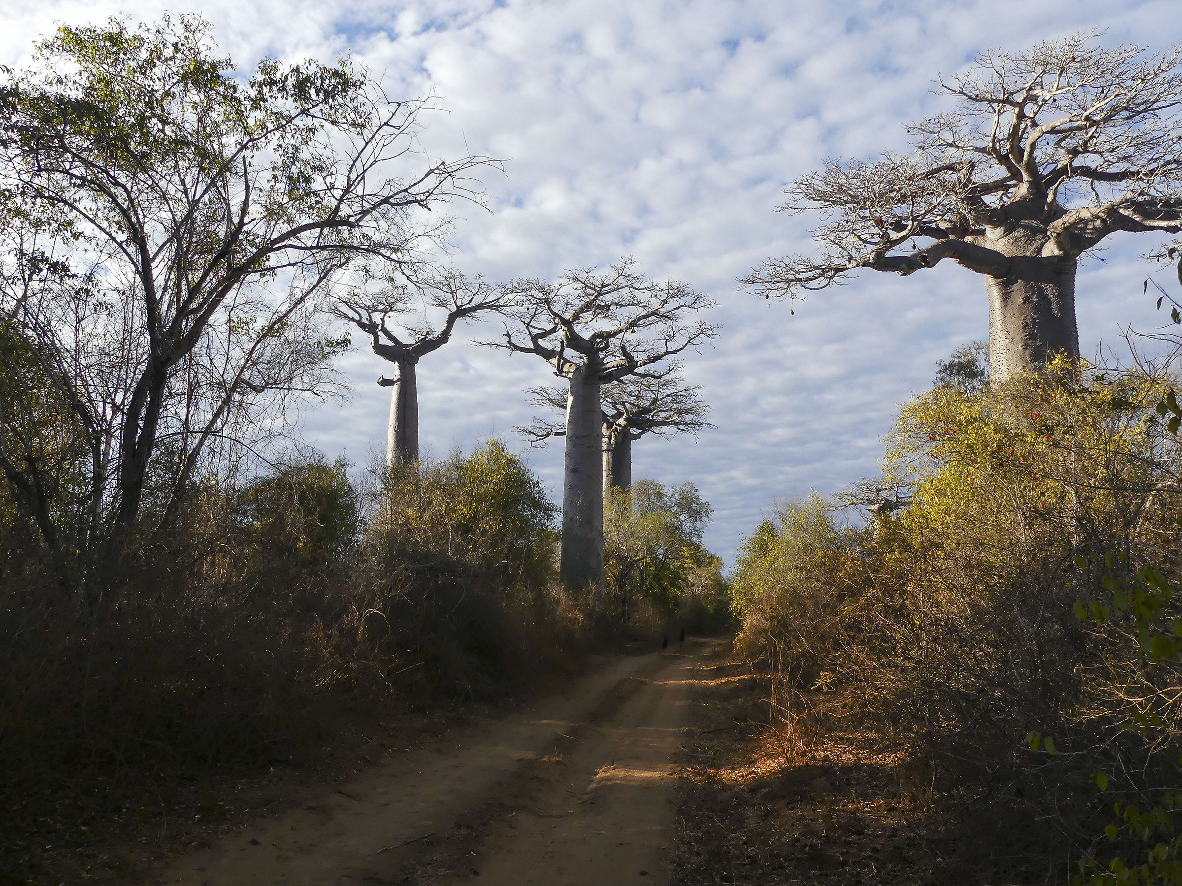 Lungo le piste del Madagascar in 4x4