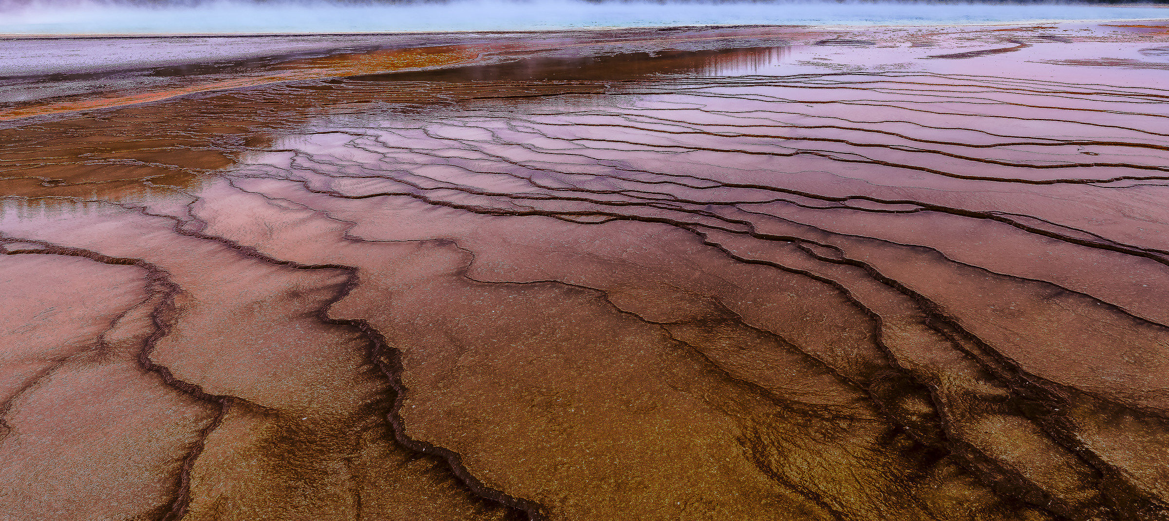YELLOWSTONE Prismatik SPRING