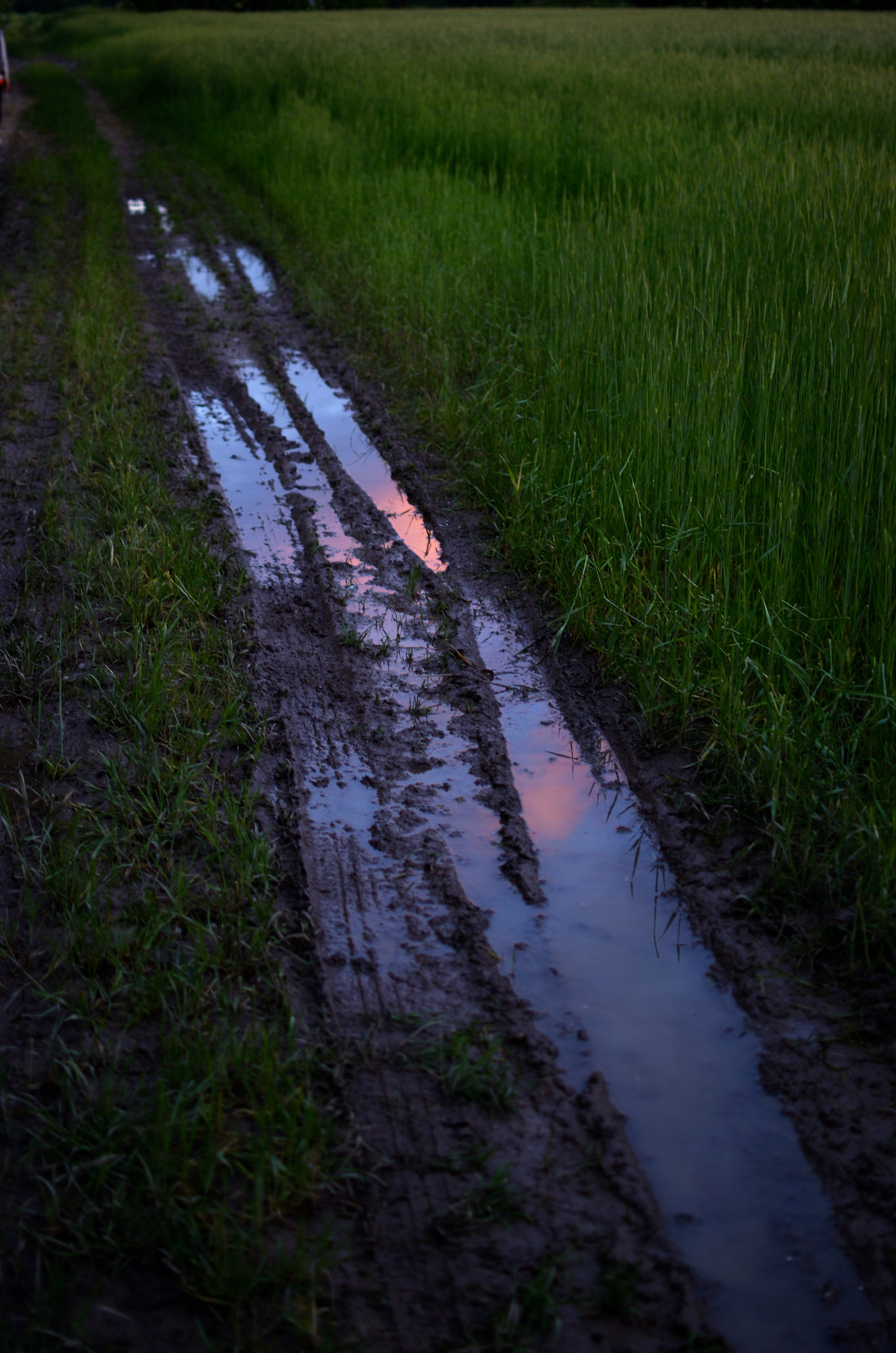 Anche strisce di fango riservano sorprese