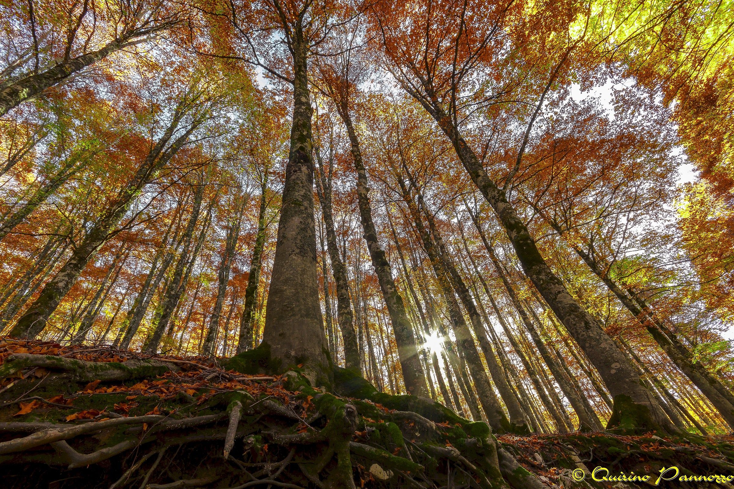 Forca D'Acero con i colori dell'autunno