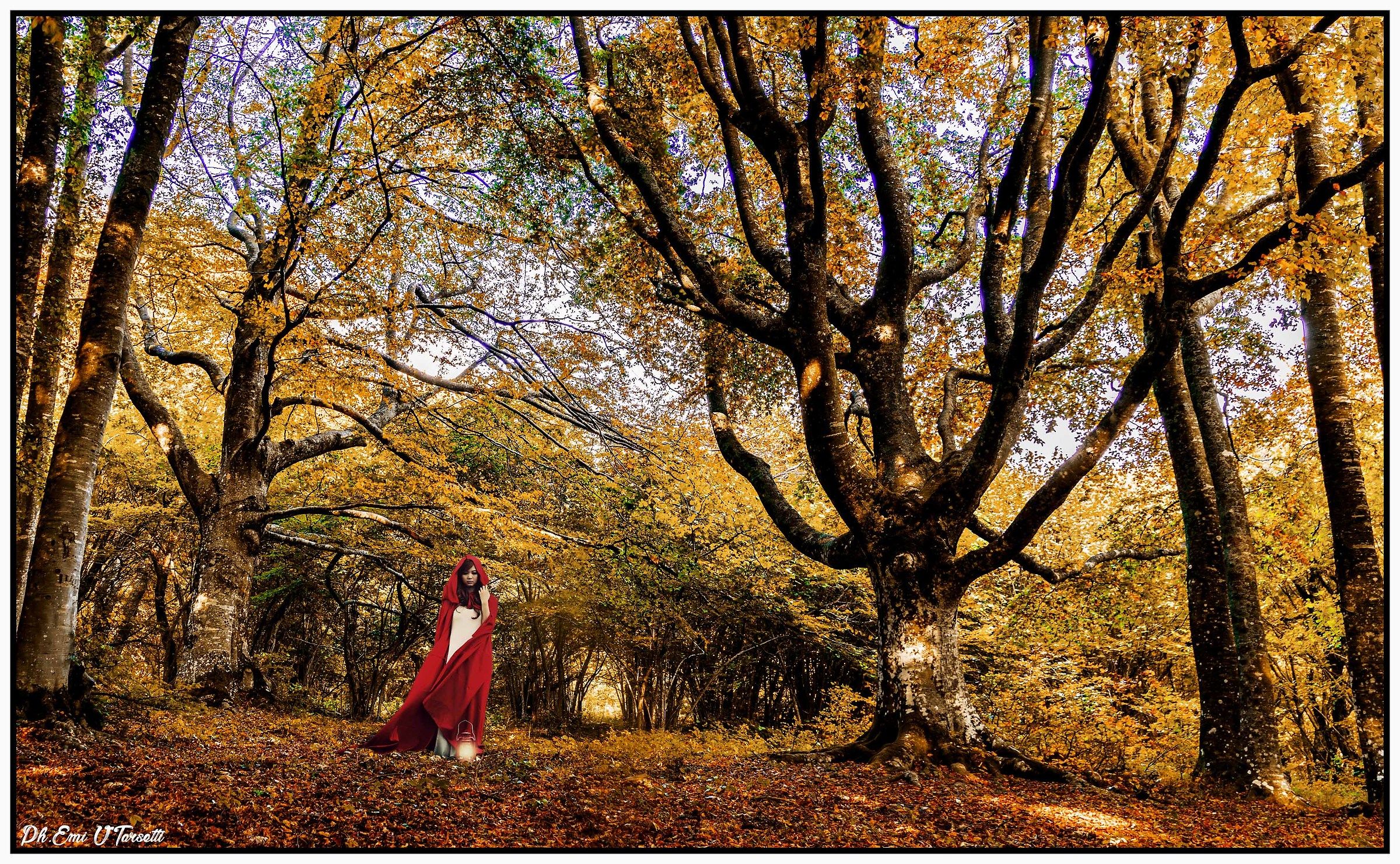 Follow me.....if you can.....!!