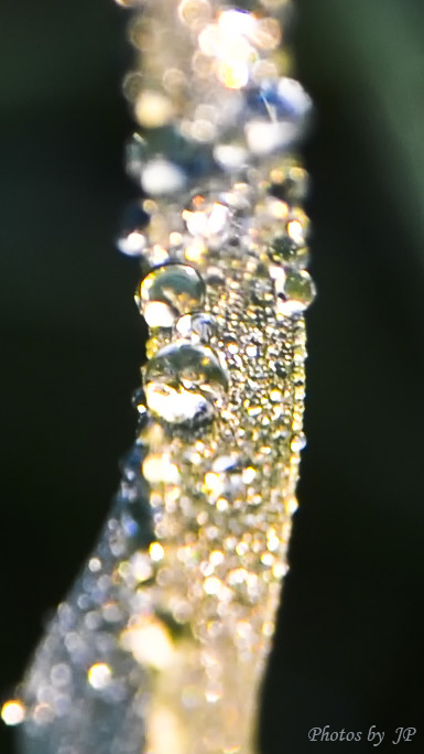 Effetto pioggia notturna