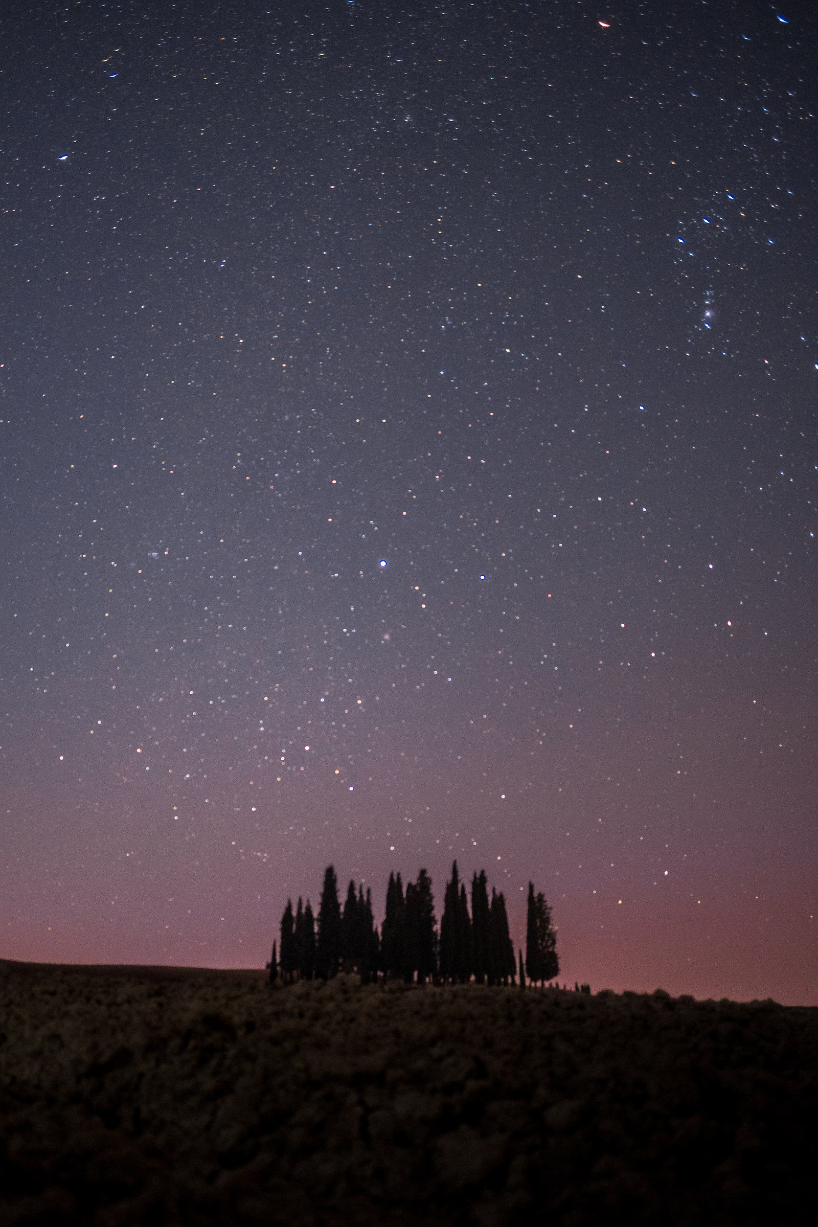 Early morning or late night?