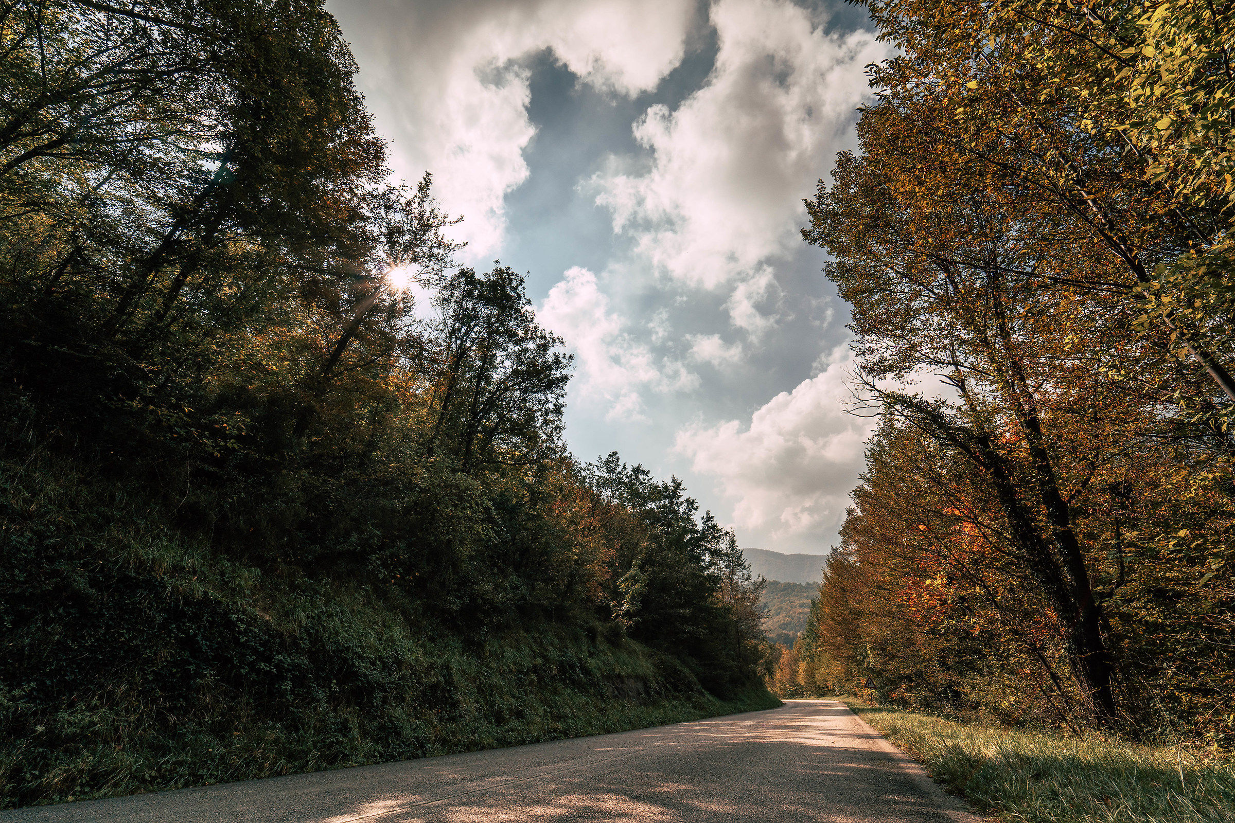 Road between Autumn-Marche-Italy