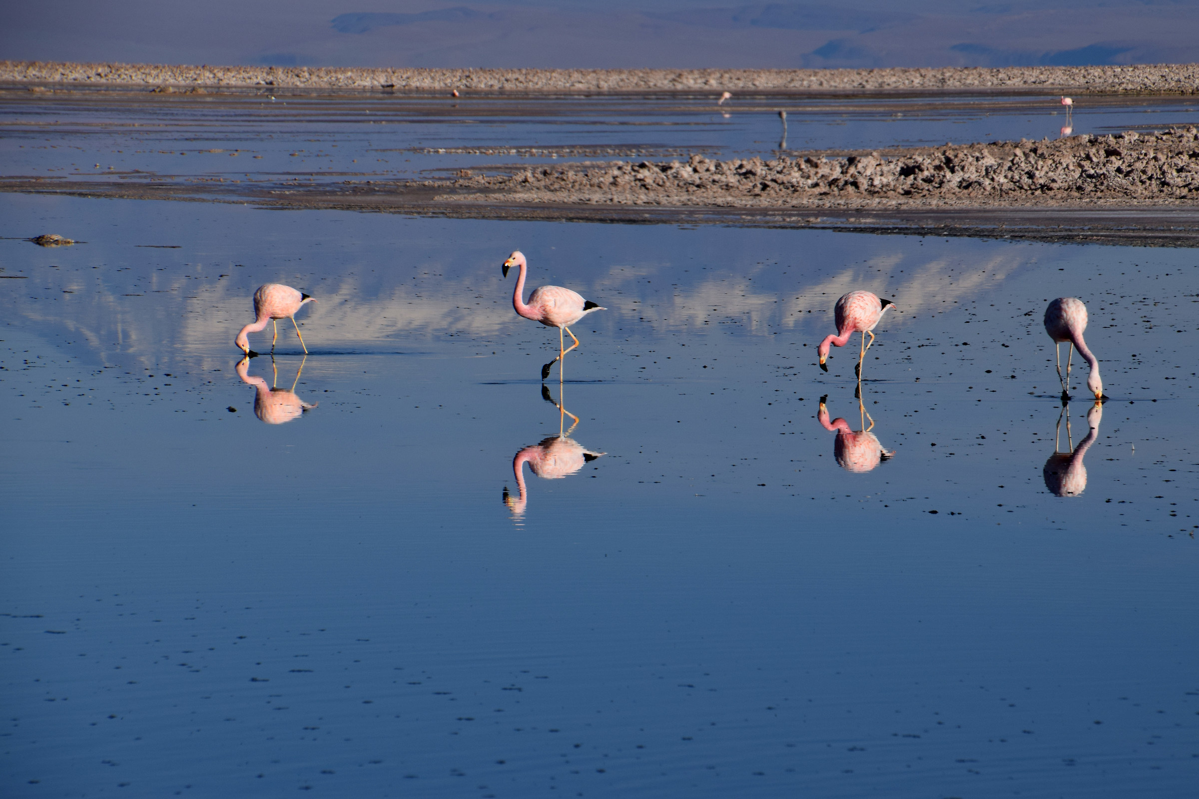salar de atacama