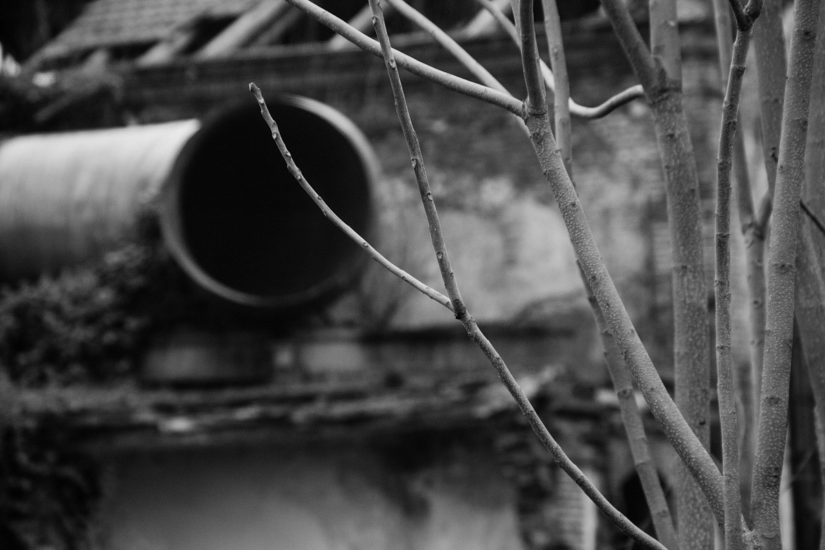 The Nature Will Survive