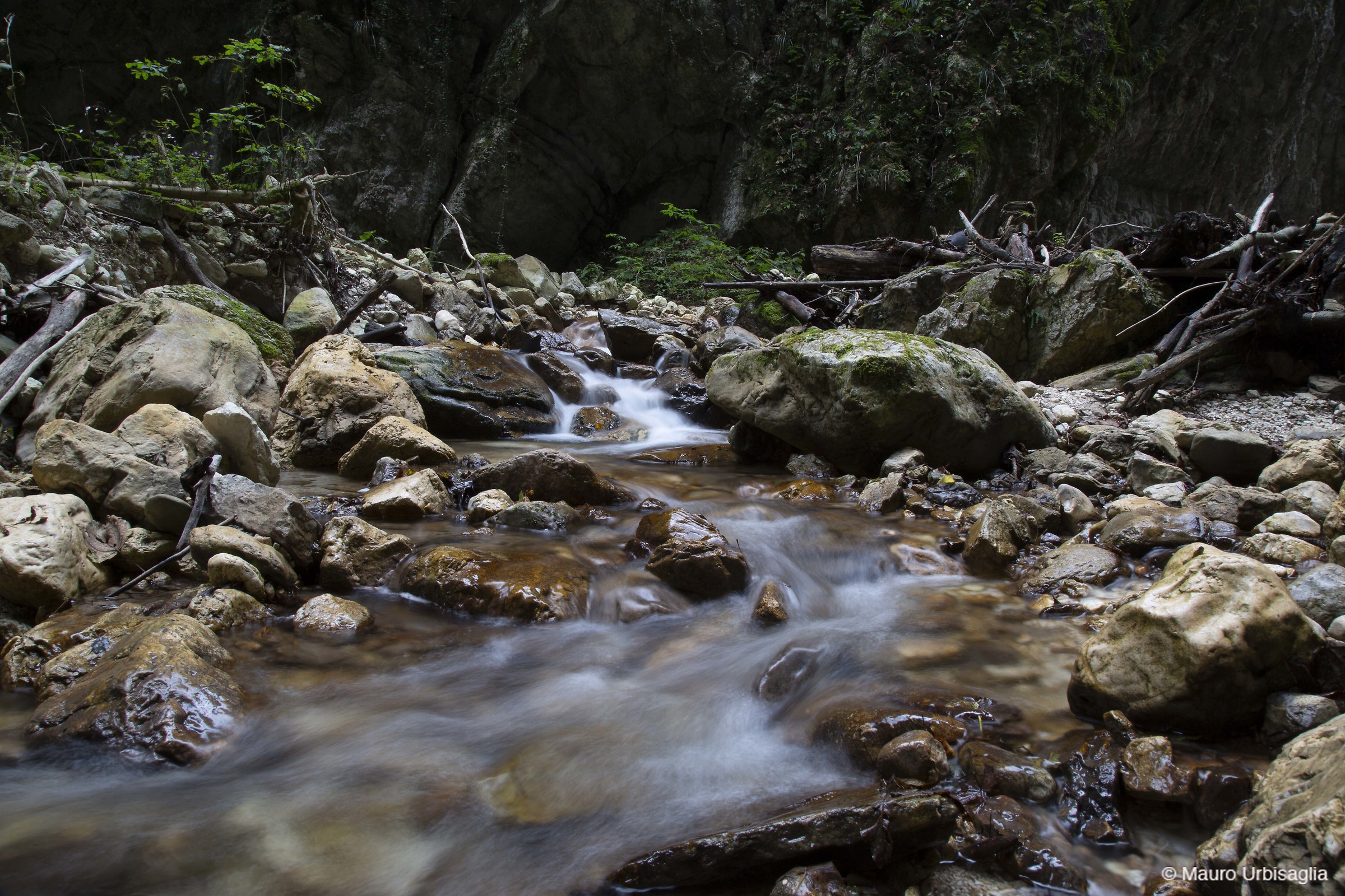 Water source of life