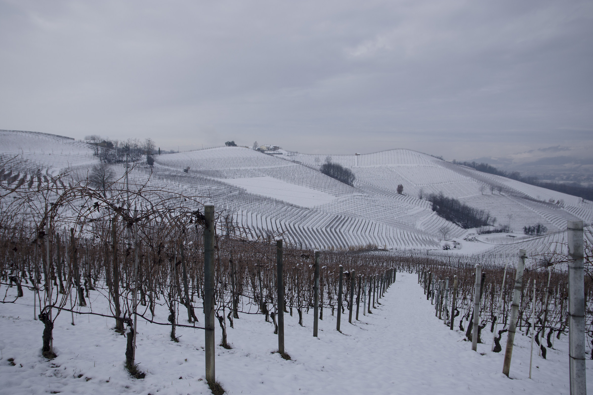 Geometry between vineyards