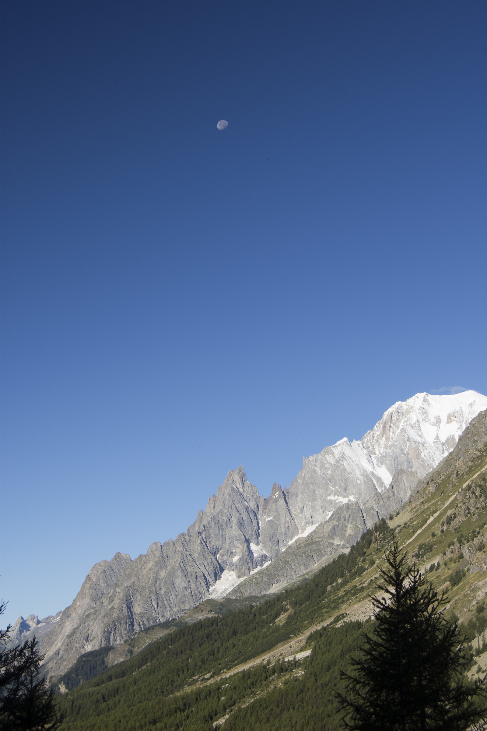 La luna ed il Bianco