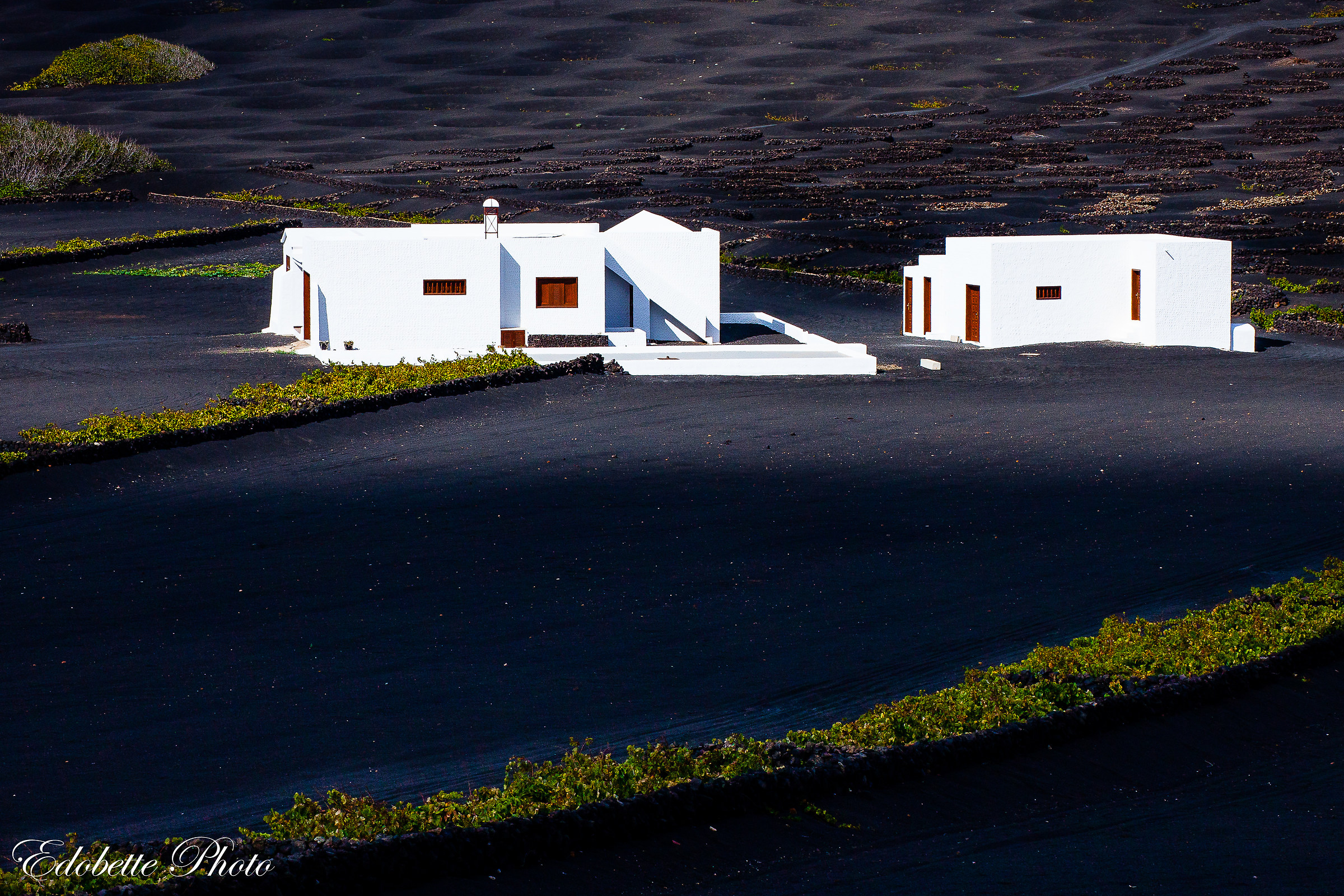 Lanzarote - La Geria