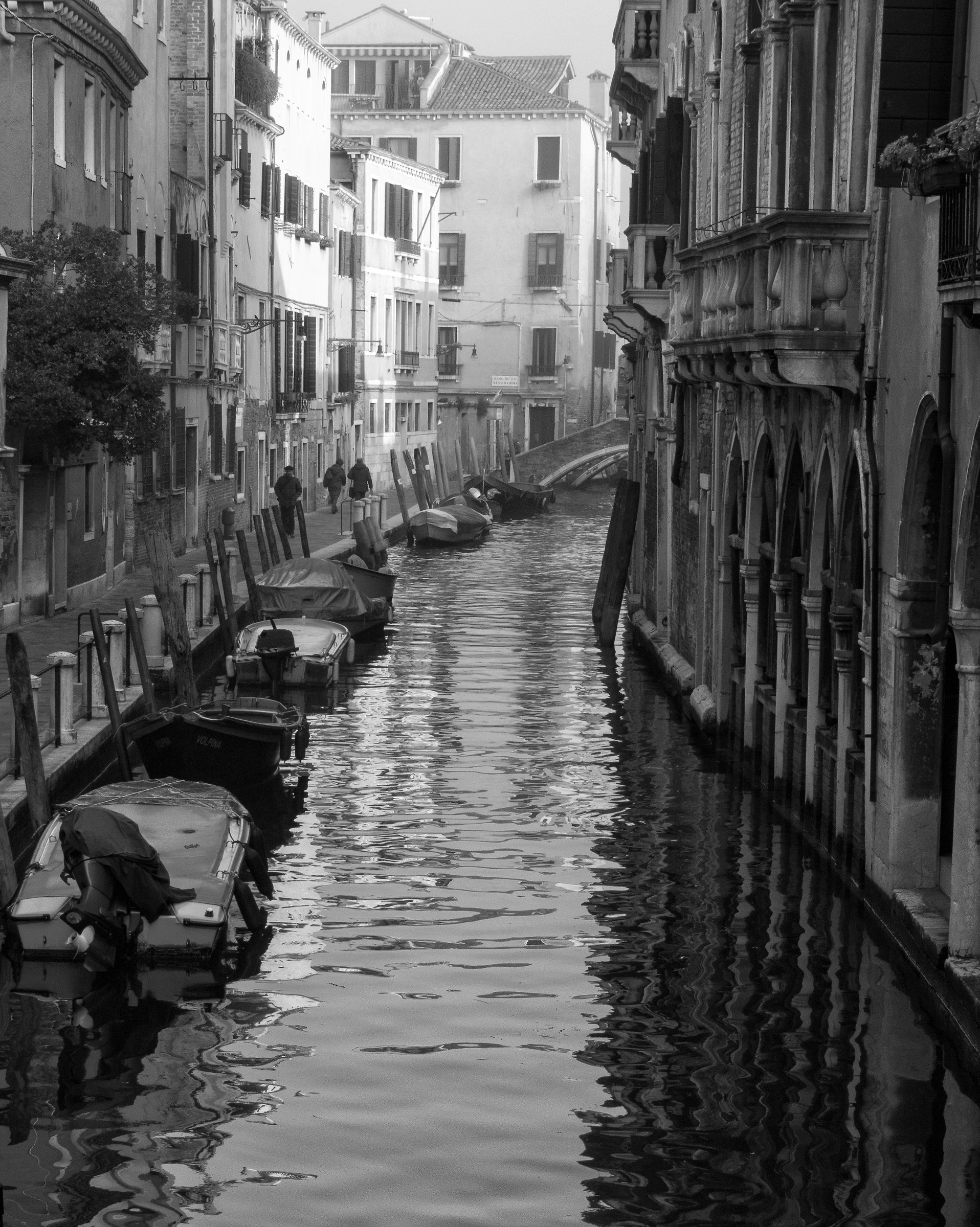 Foundation San Felice