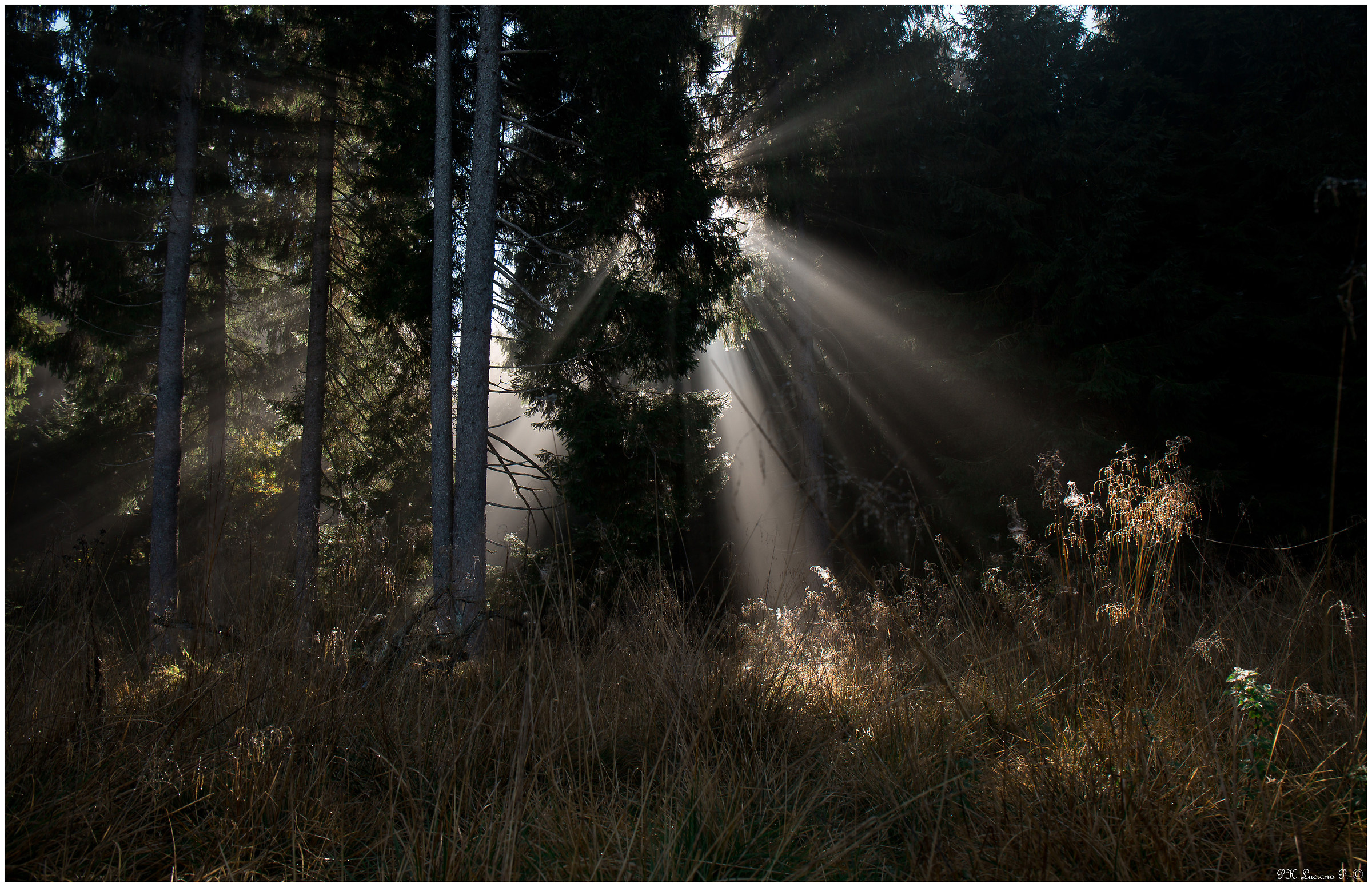 raggi che riscaldano l'anima