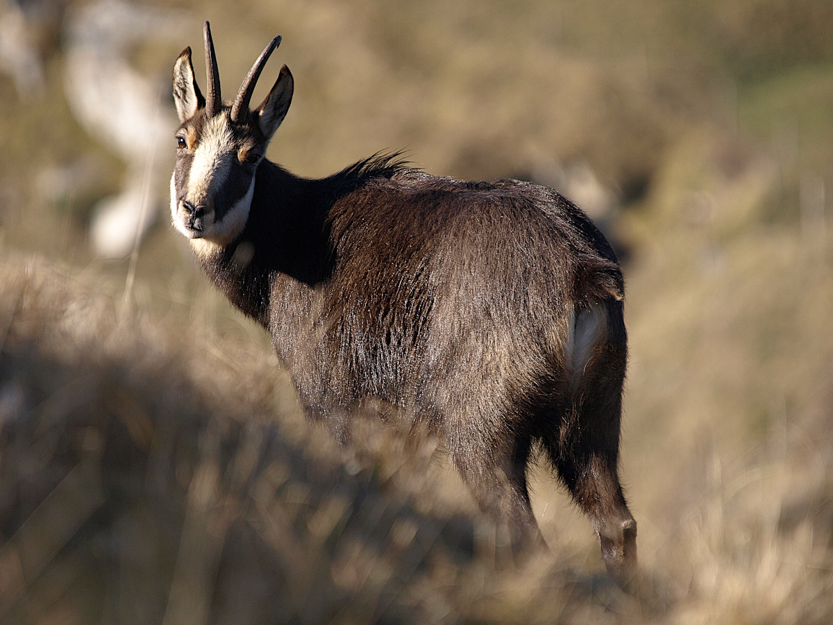 Ancora un ulltimo sguardo....