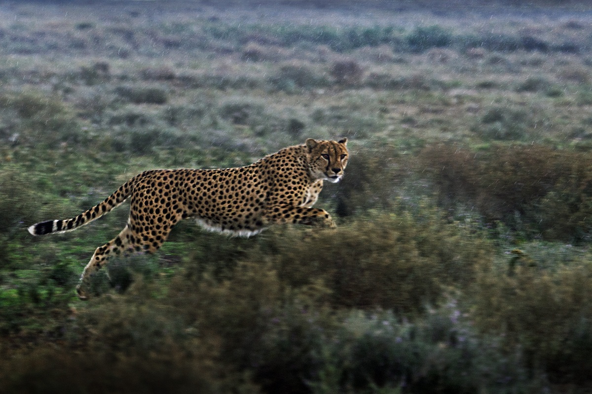 I do not like the rain