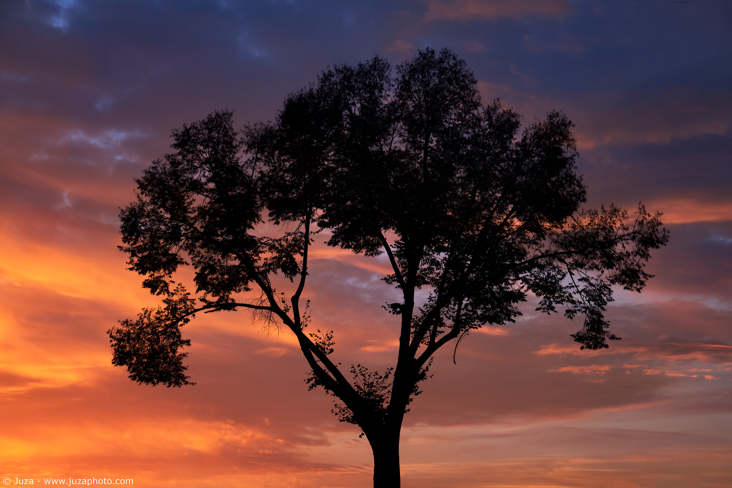 We are all silhouettes on the great western sky