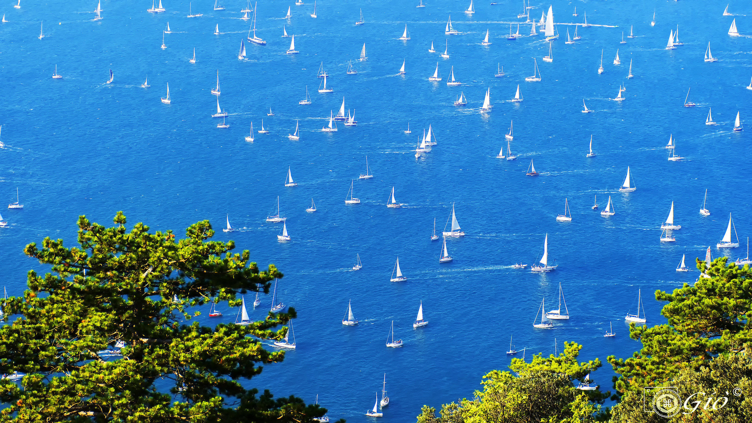 Barcolana :in attesa dello schieramento