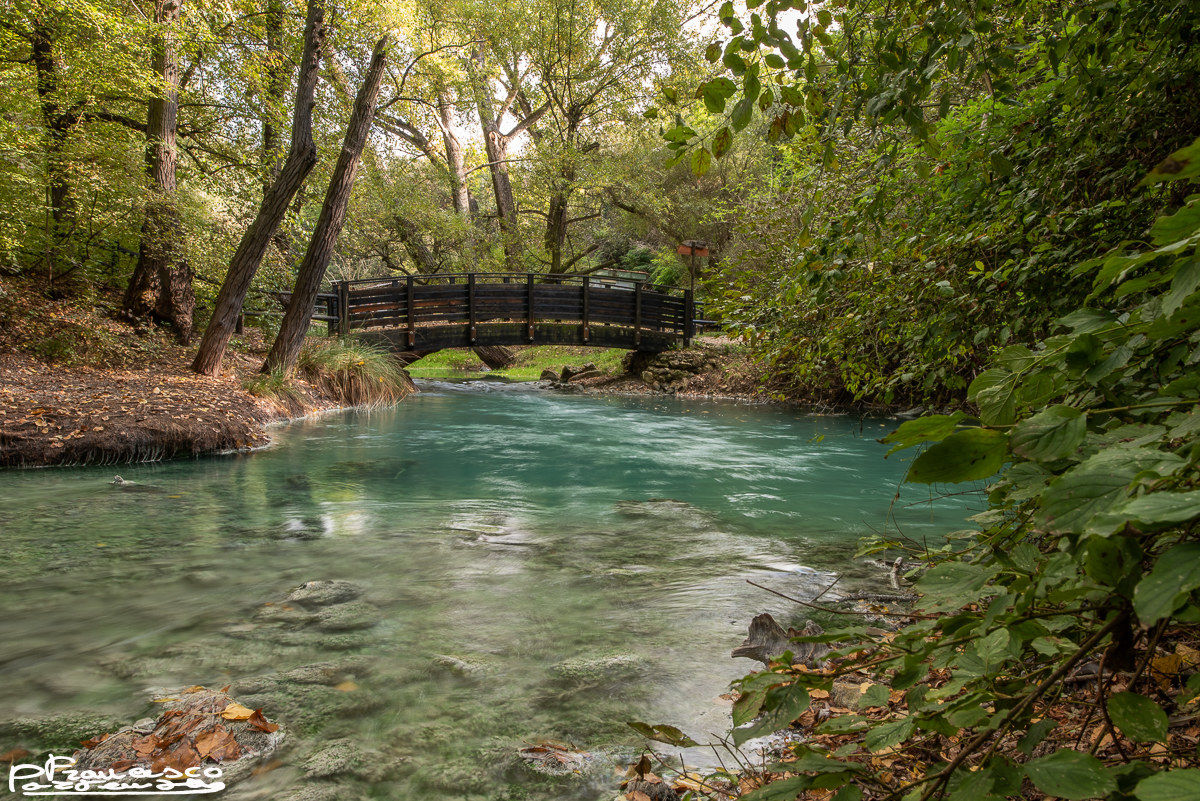 Lavino Park (SCAFA)-Bridge