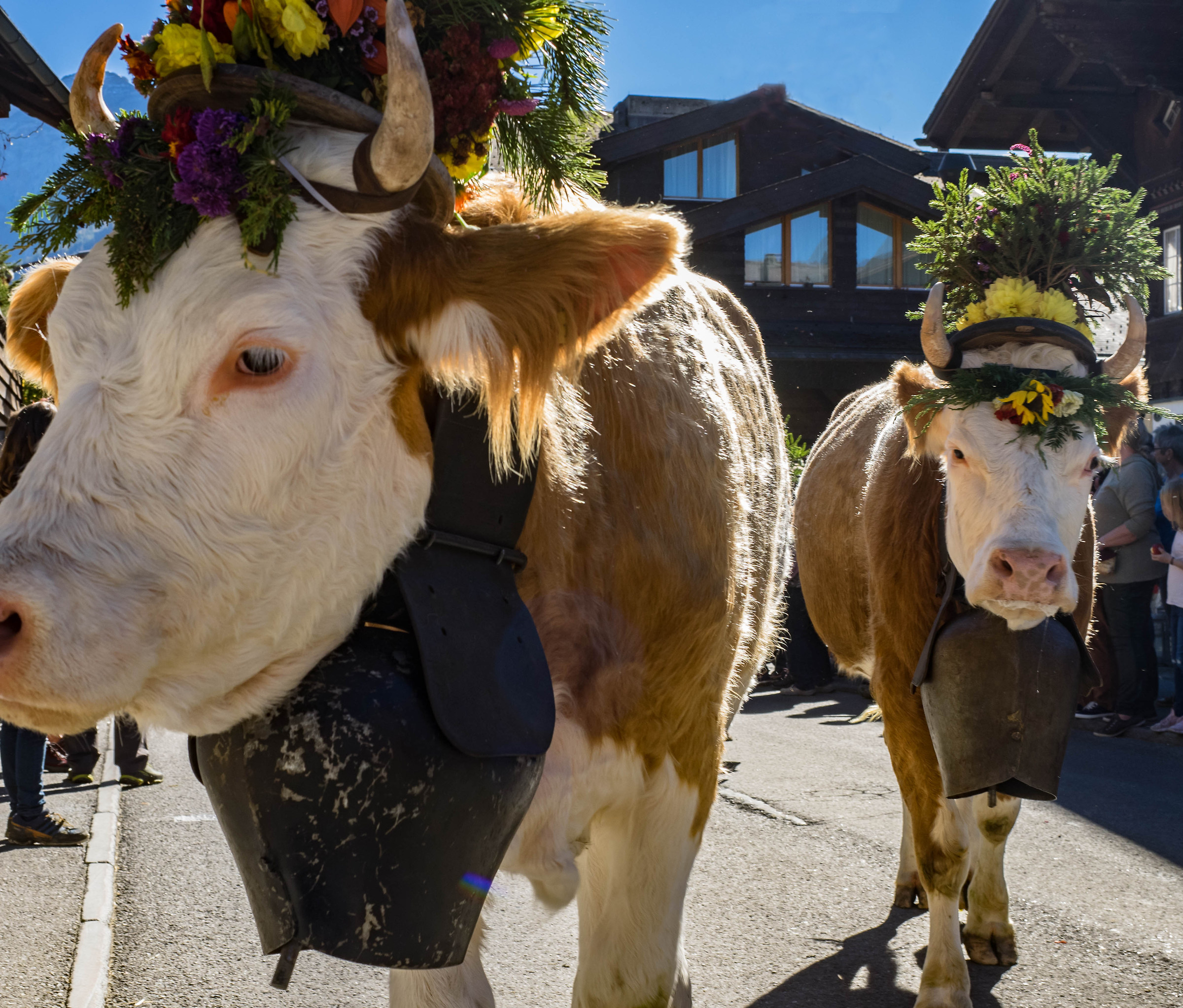 Holiday of the Mountaineers