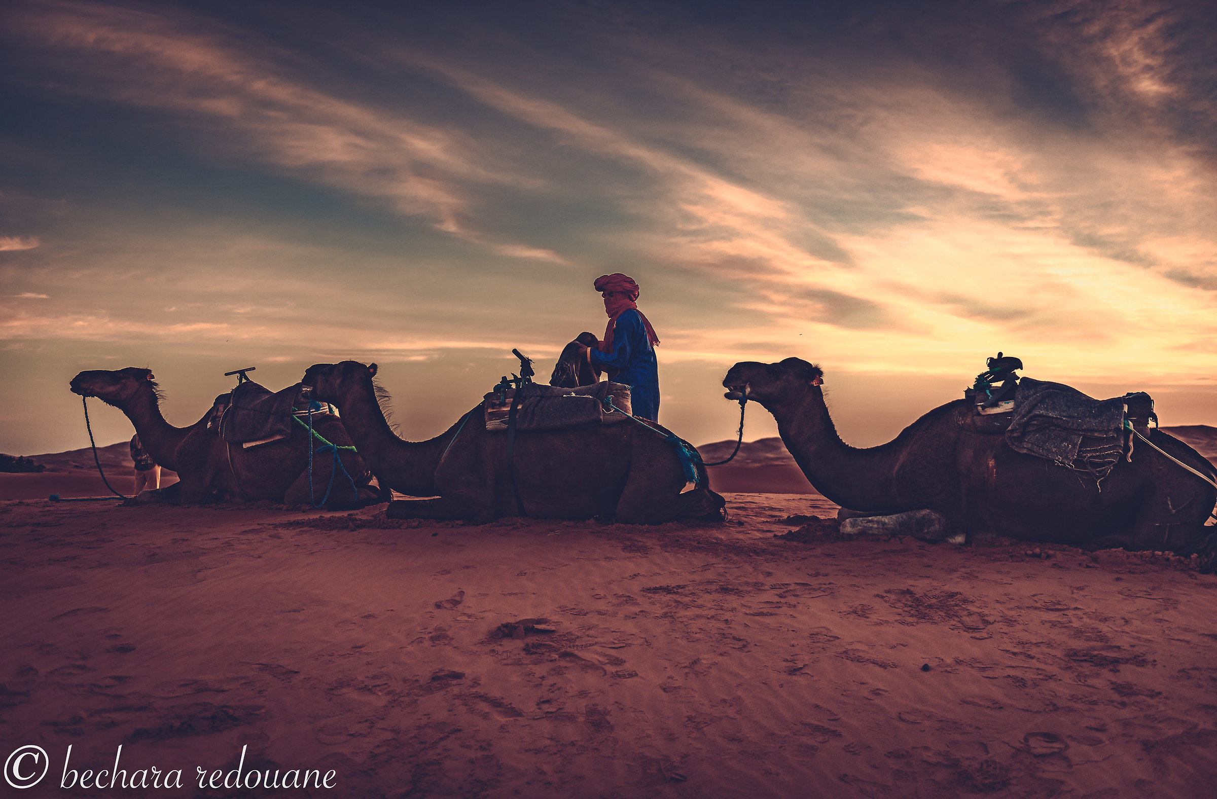 The Merzouga desert in Sunset