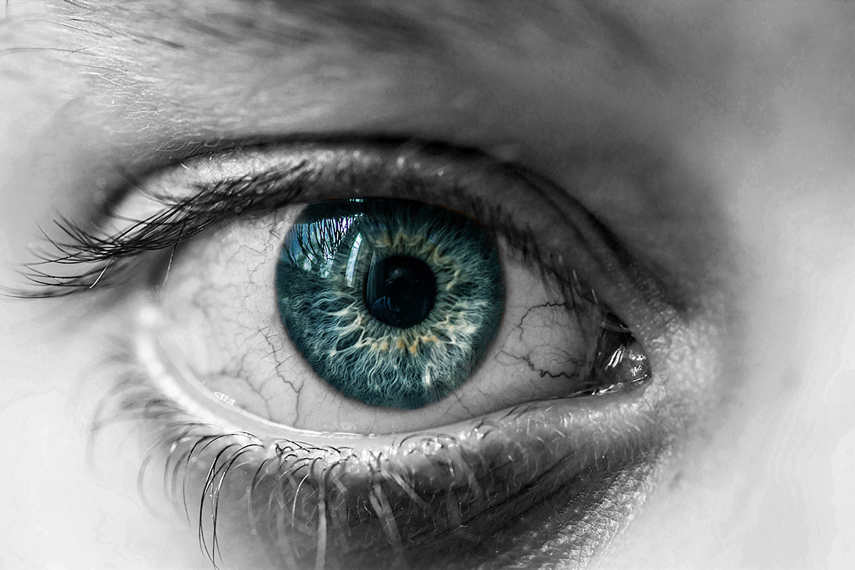 My most Beautiful eyes