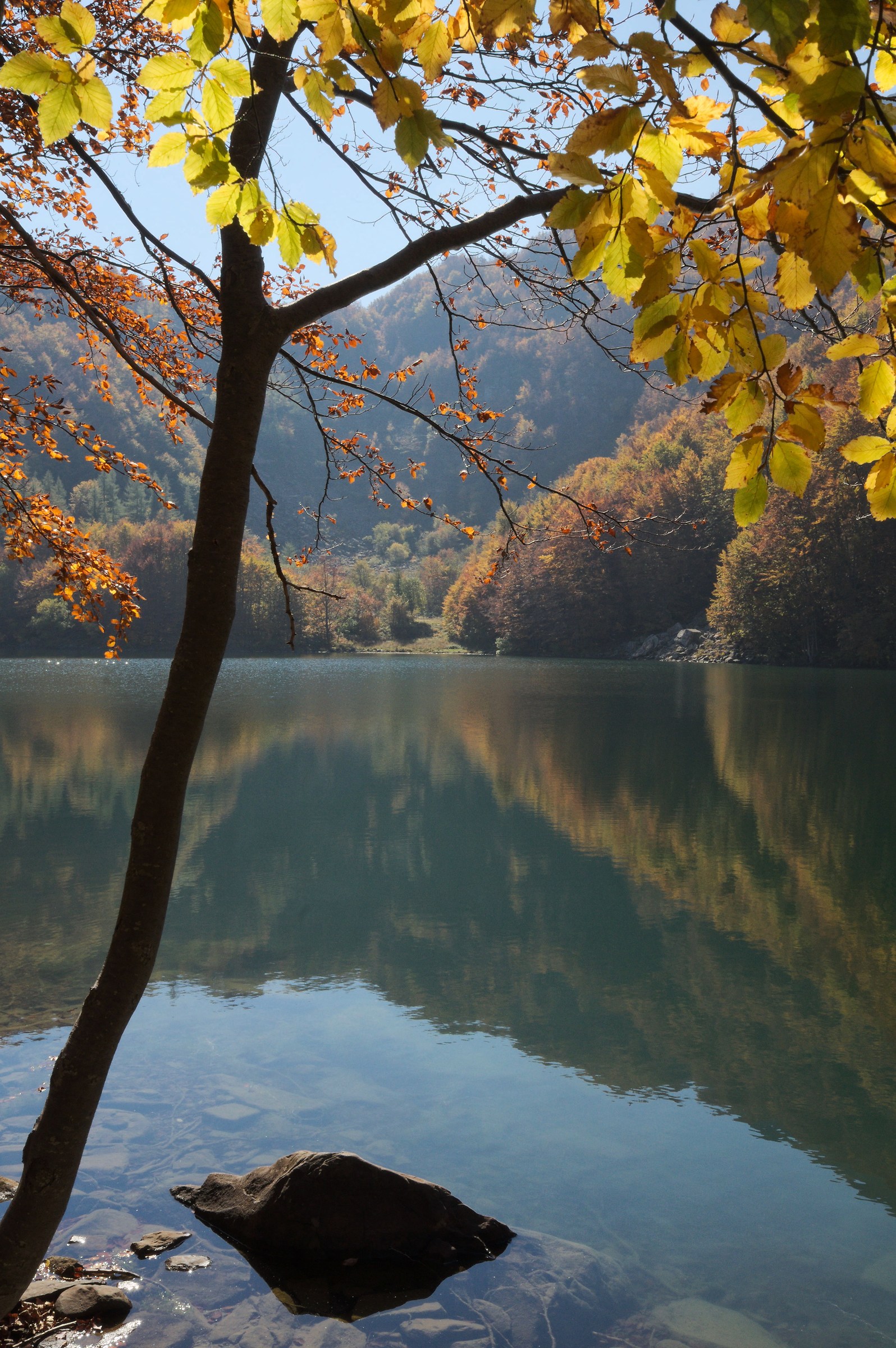 I Wish You Were Here