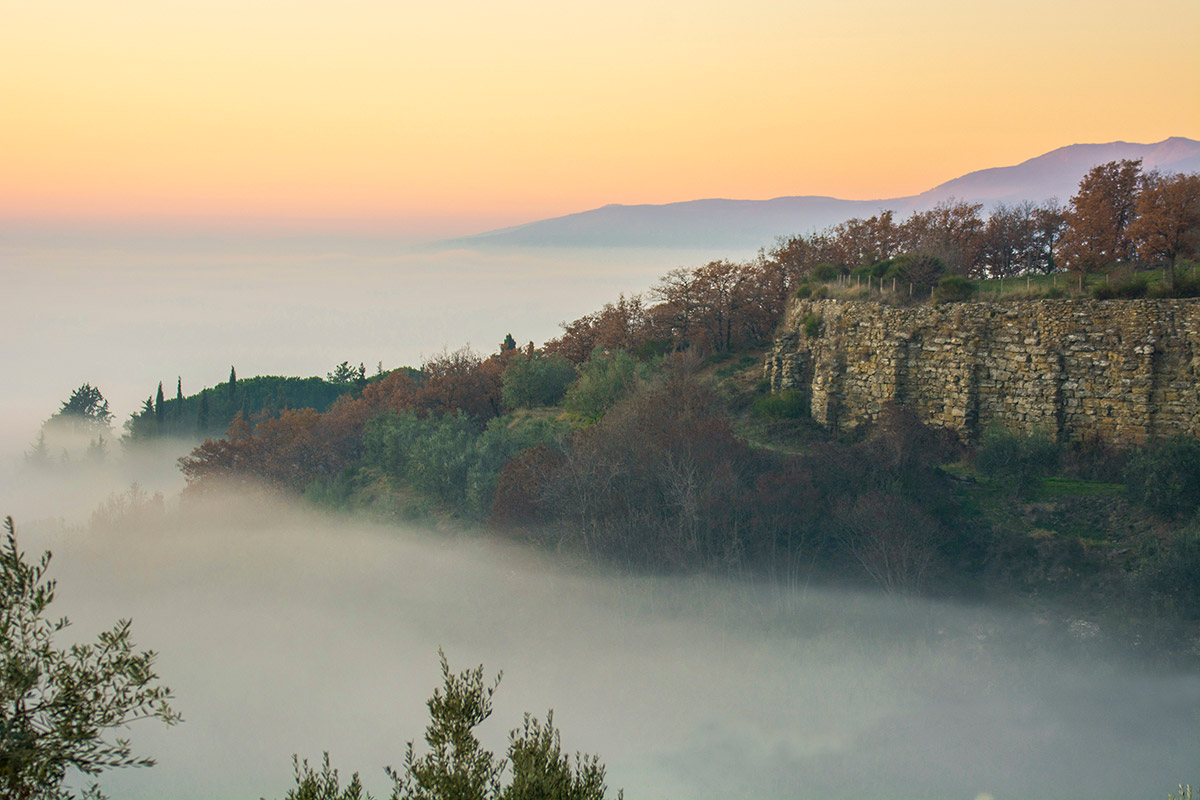 The Etruscans and the Fog