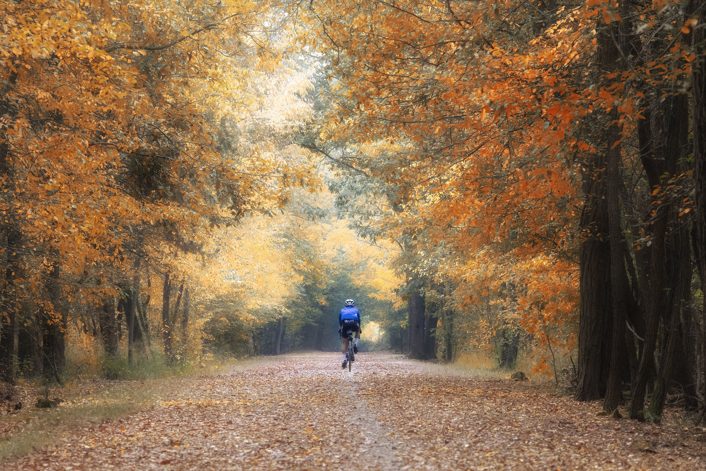 Pedalando in via Gaggio