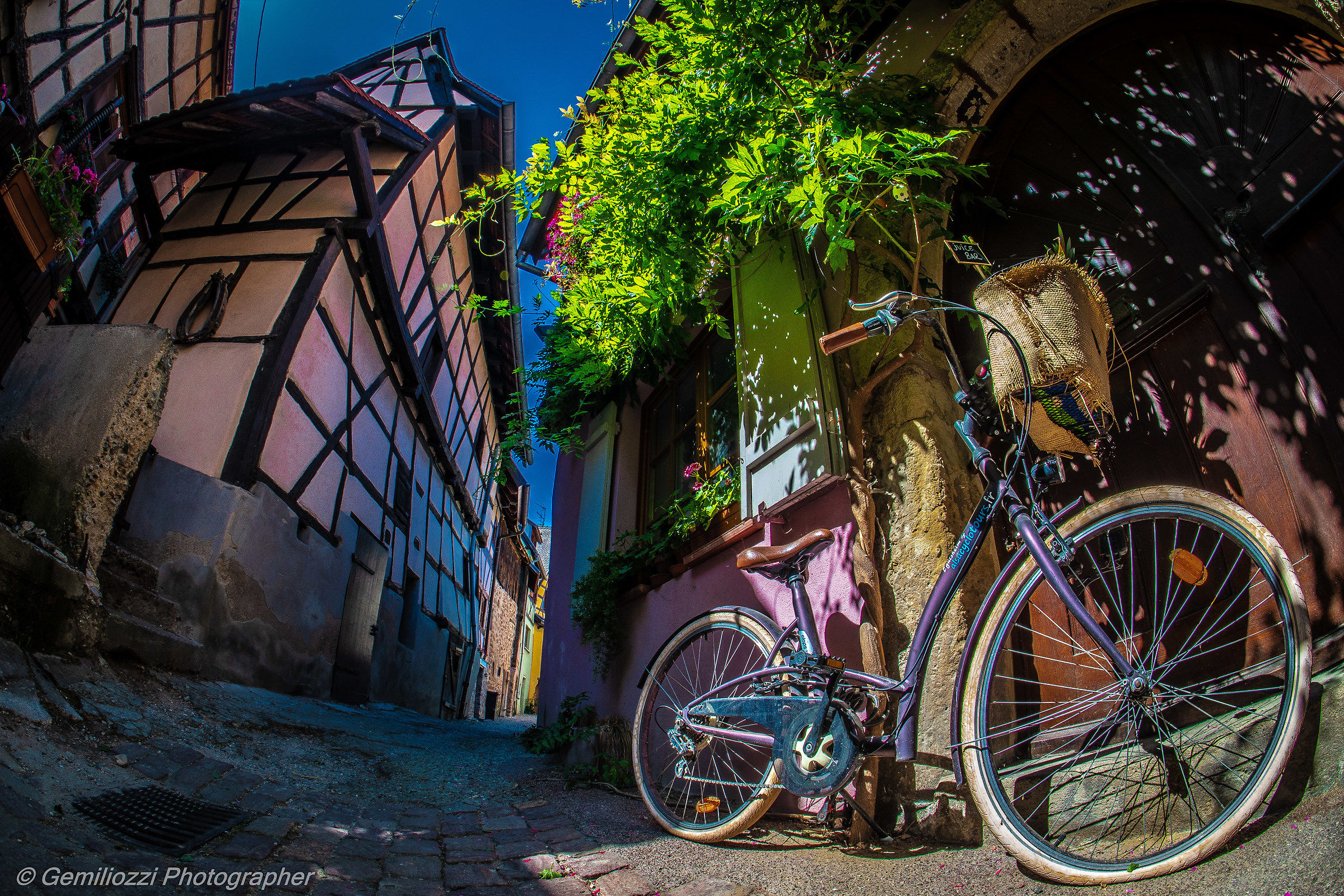 Riquewihr Alto reno