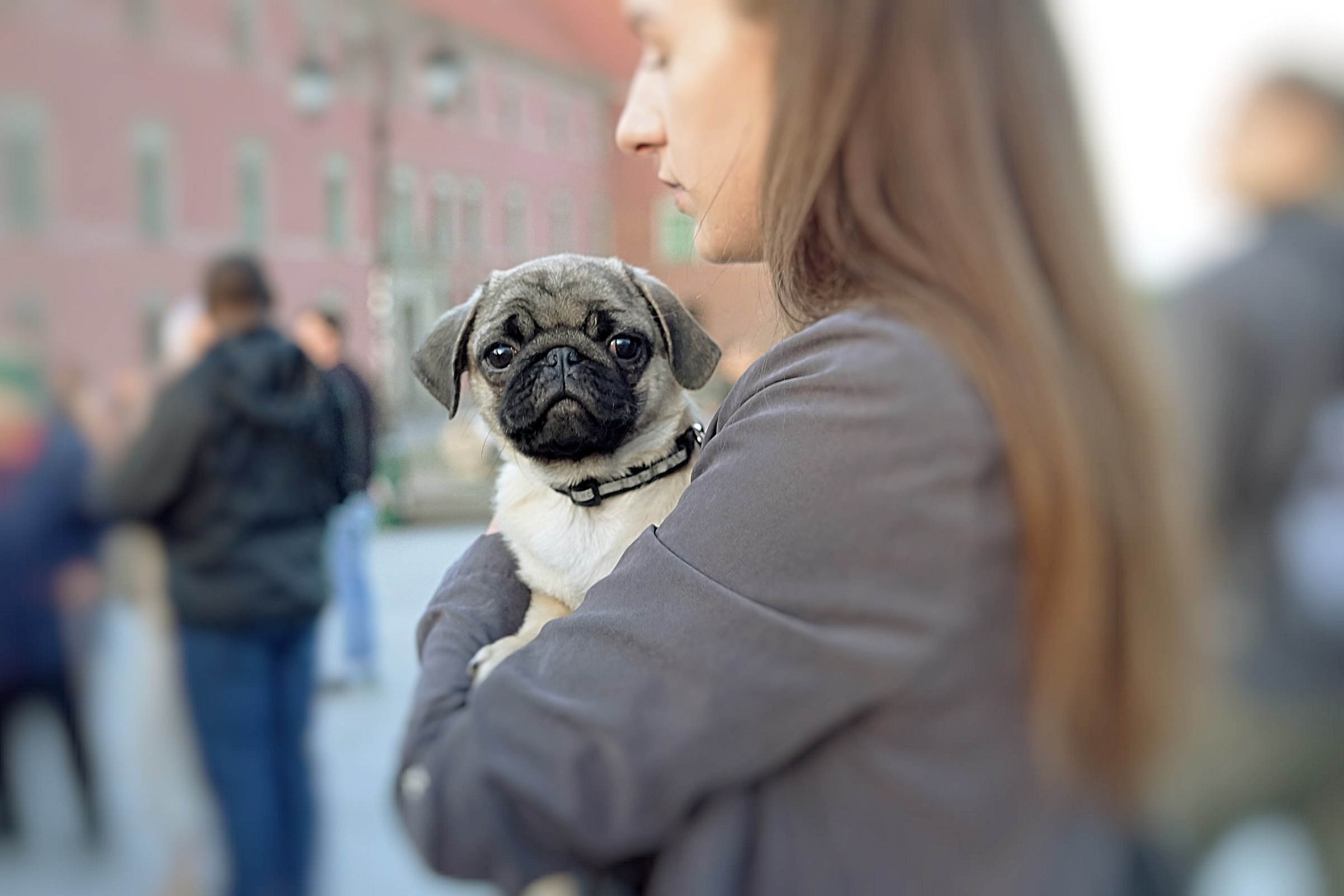 Ti voglio bene anch'io