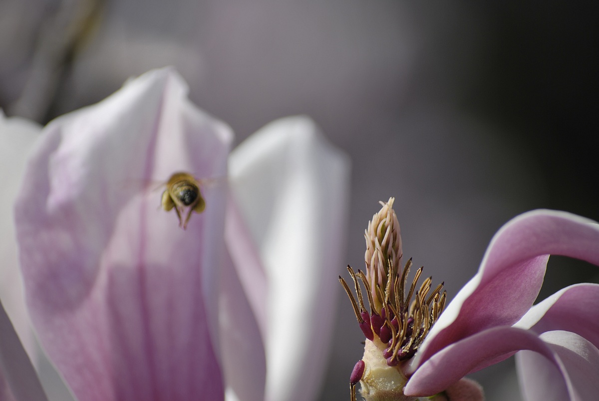 Atterraggio previsto a breve....