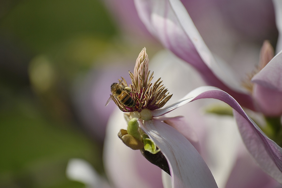 Atterraggio avvenuto...