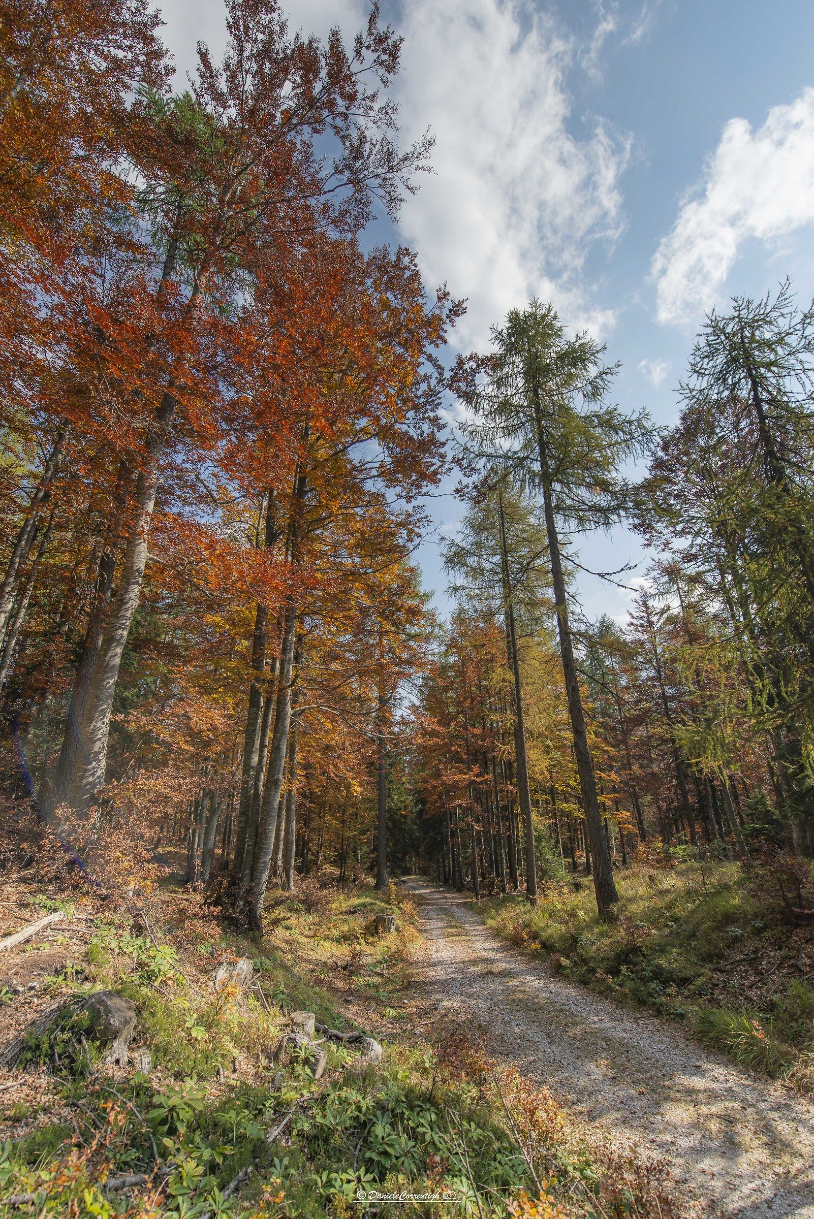 I tre colori autunnali
