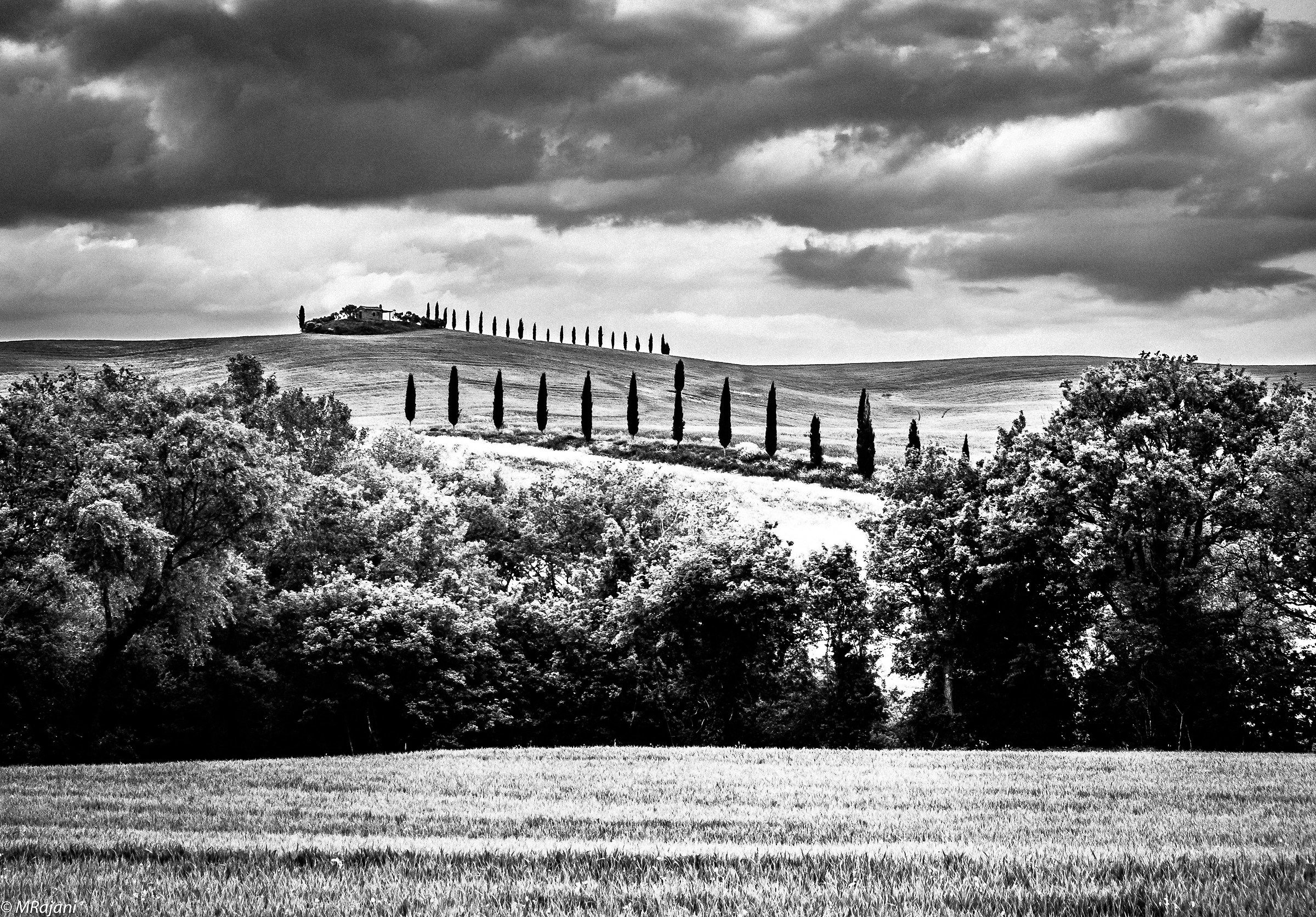 Val d'Orcia B&W