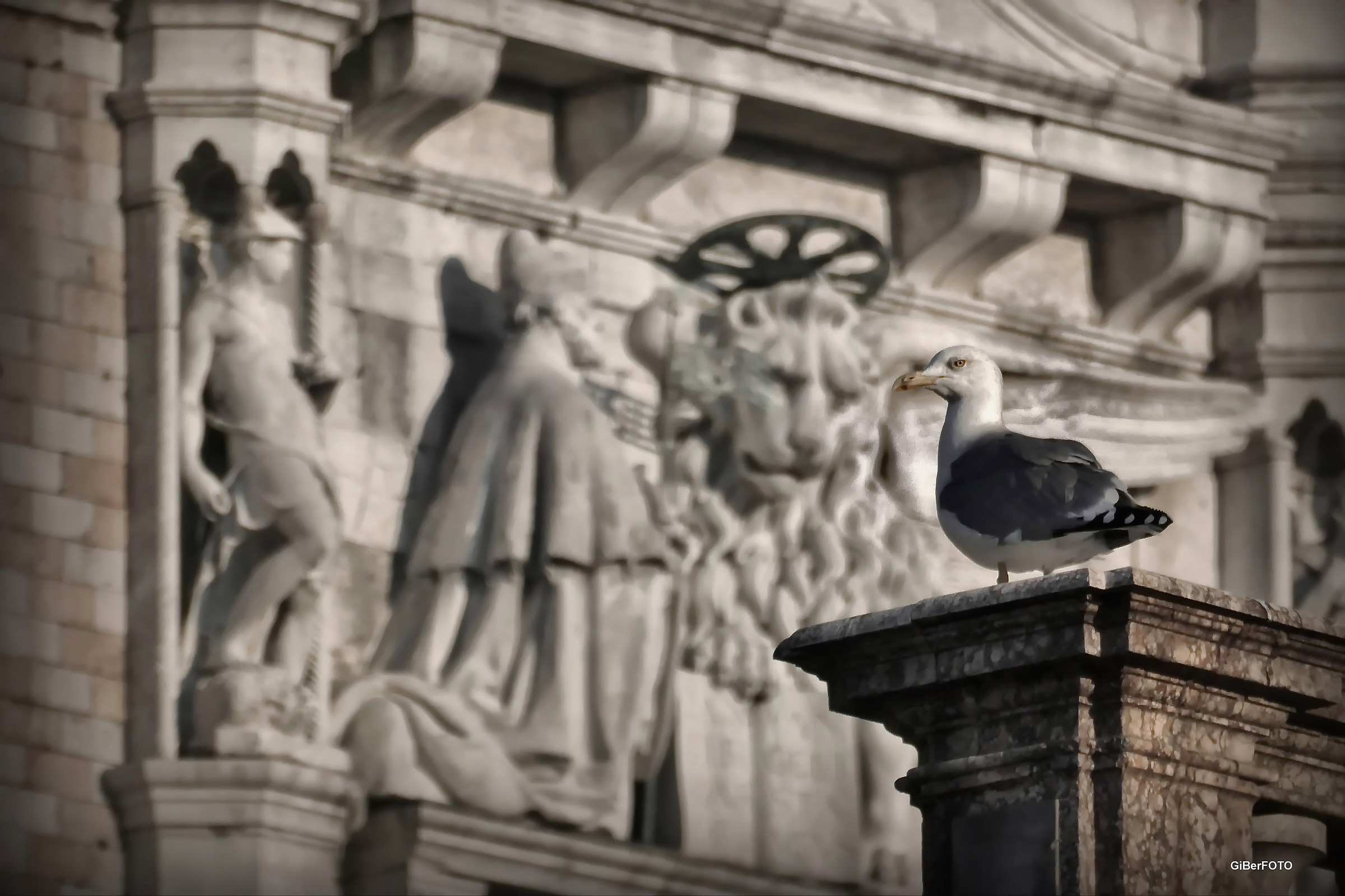 Il "Messaggero" del doge!