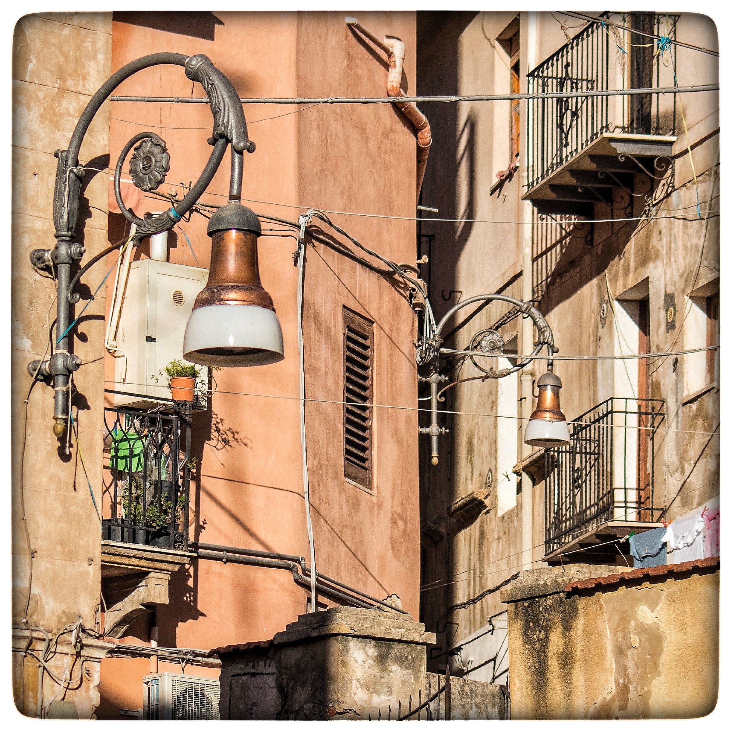 The spirit of the country.