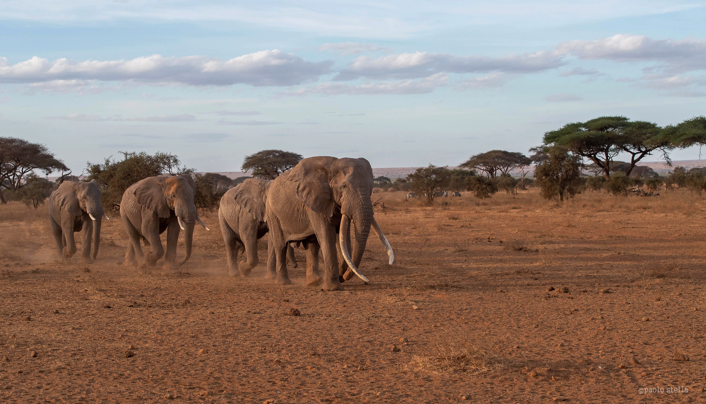 Craig and the others