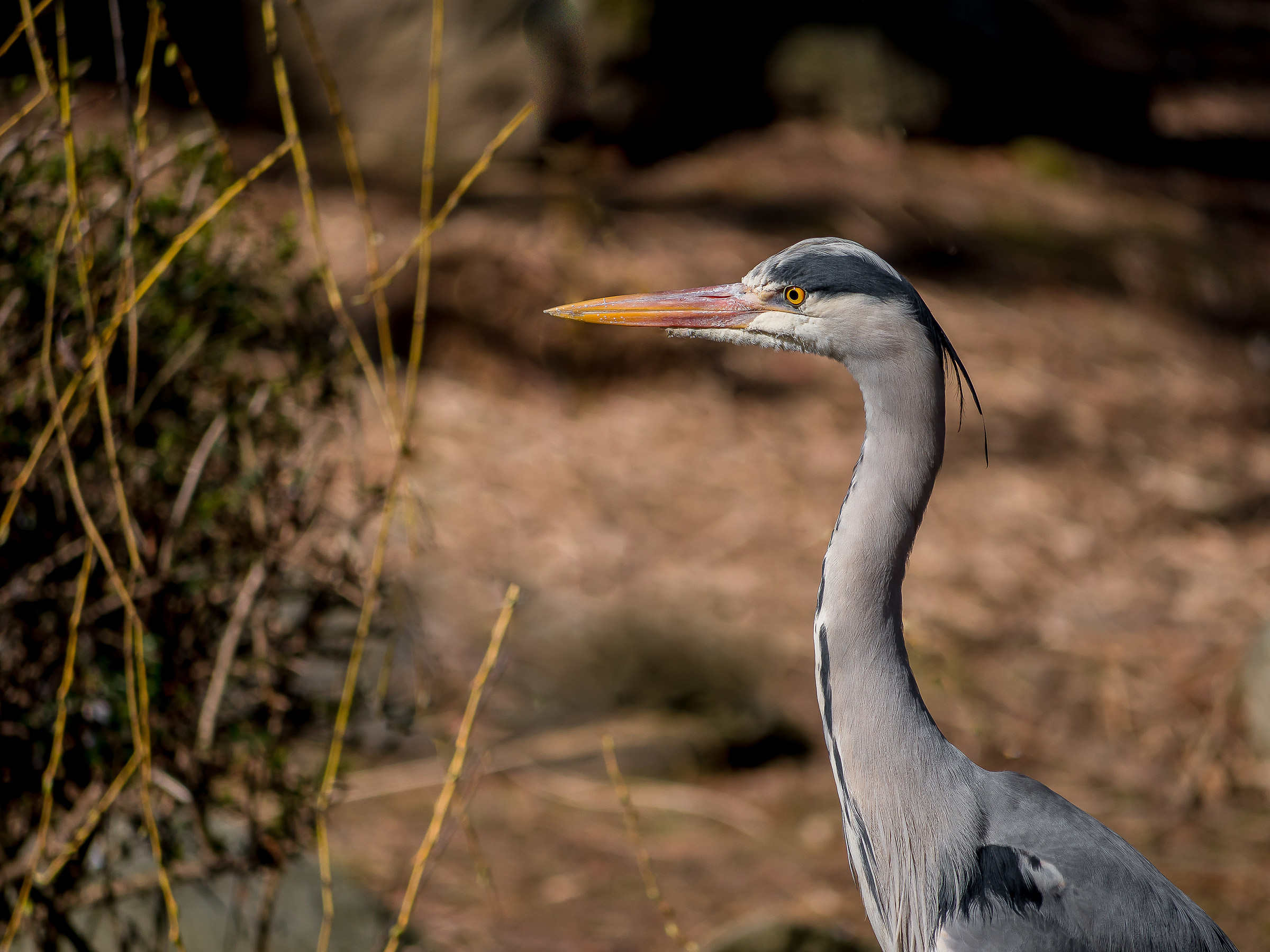 My best profile........