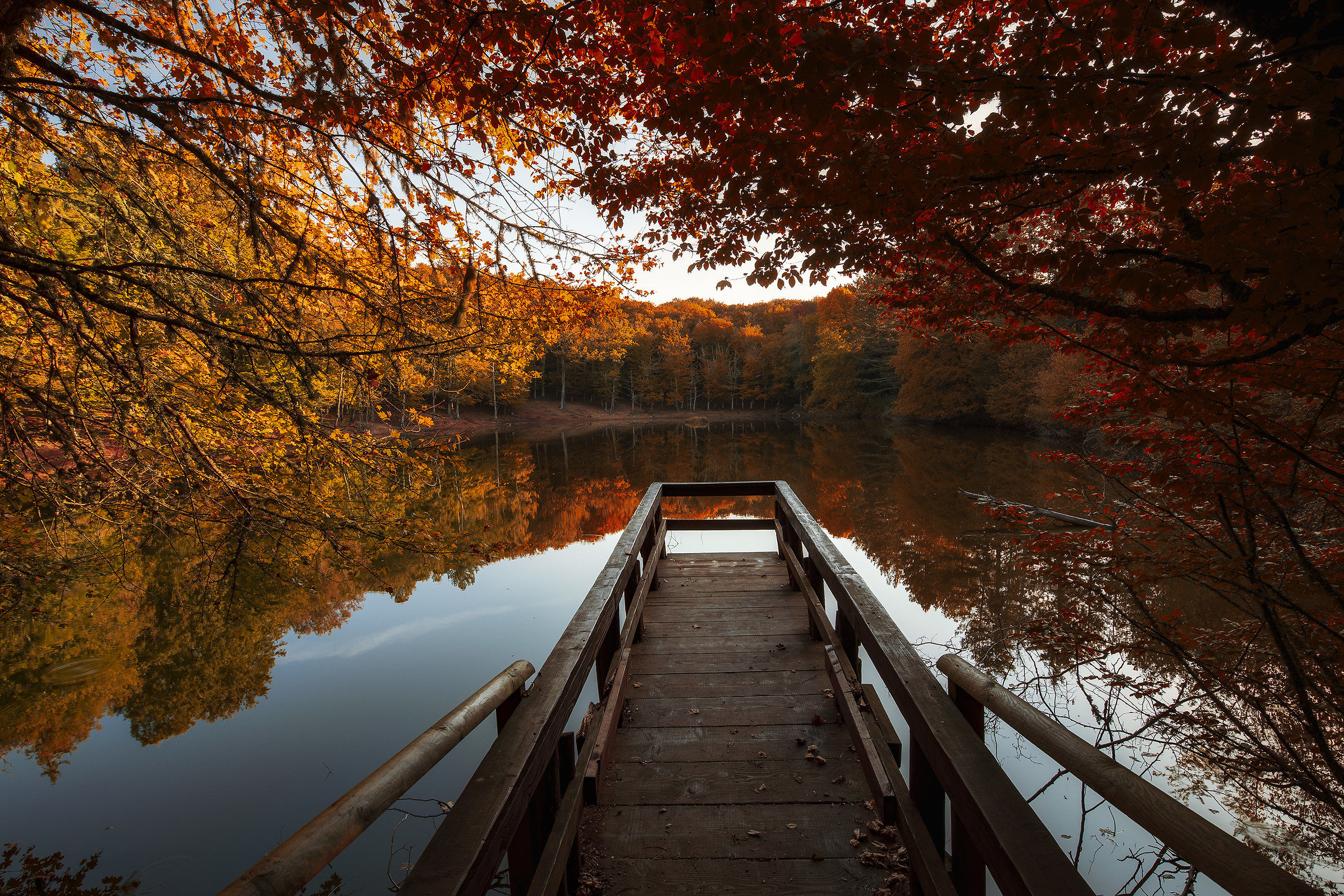 Benvenuto Autunno-Foresta Umbra