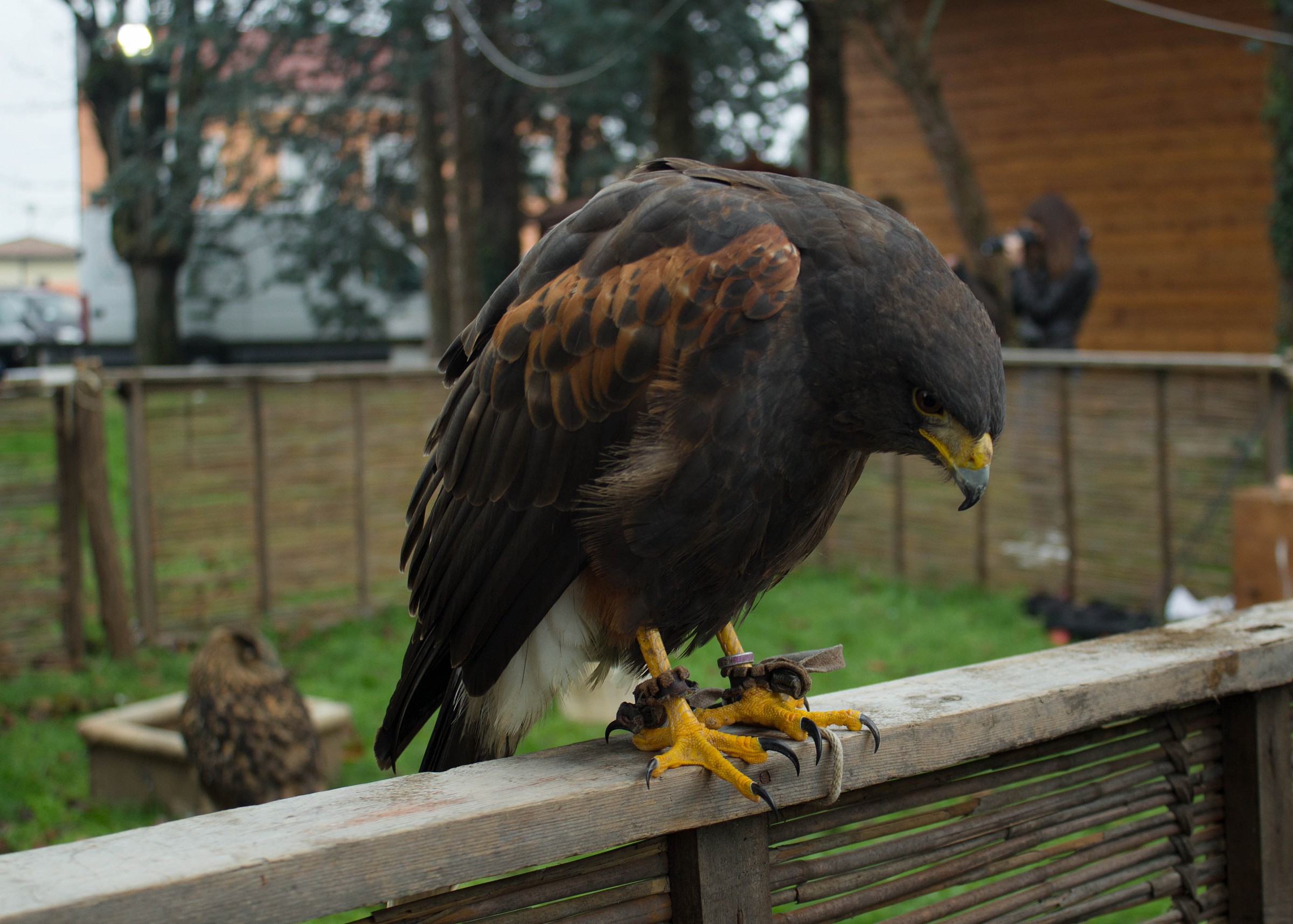 Santa Lucia di Piave