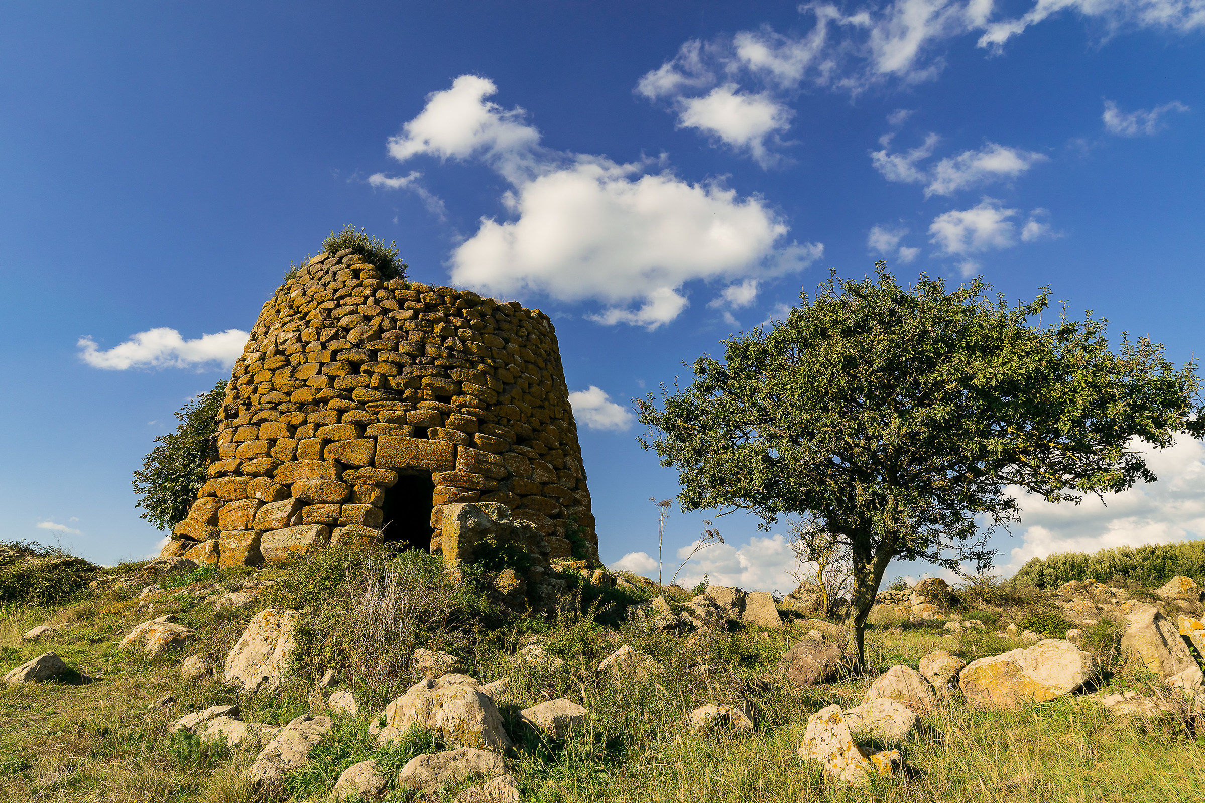 Nuraghe Succurronis - Macomer -