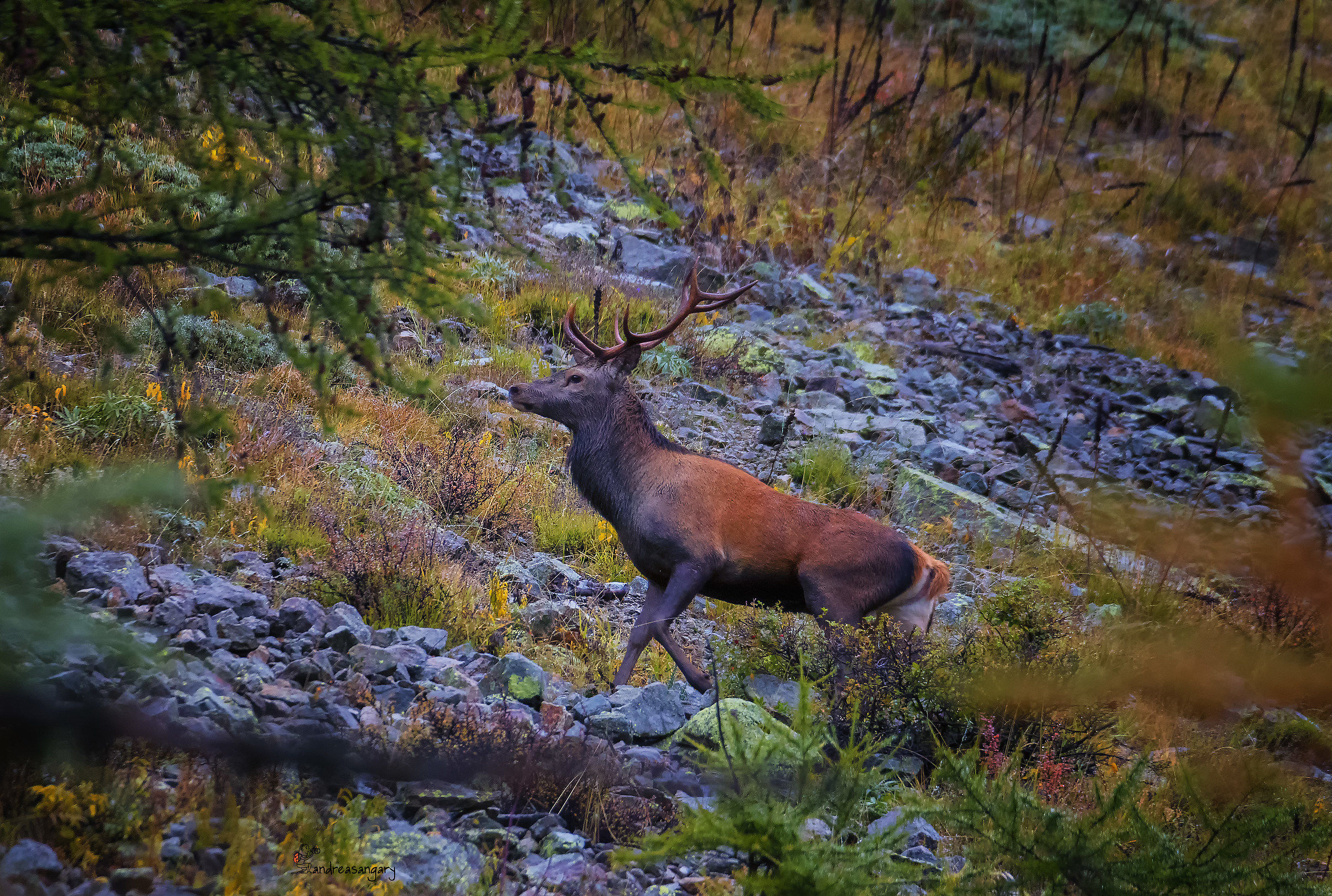 Un bellissimo incontro