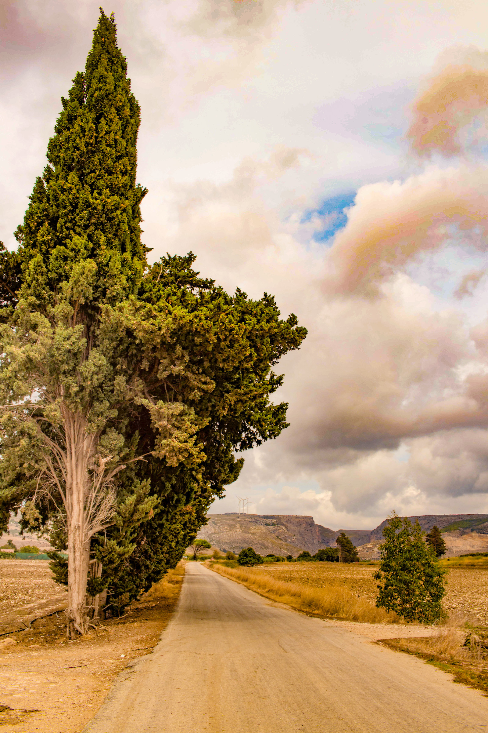 The Saccense campaign.