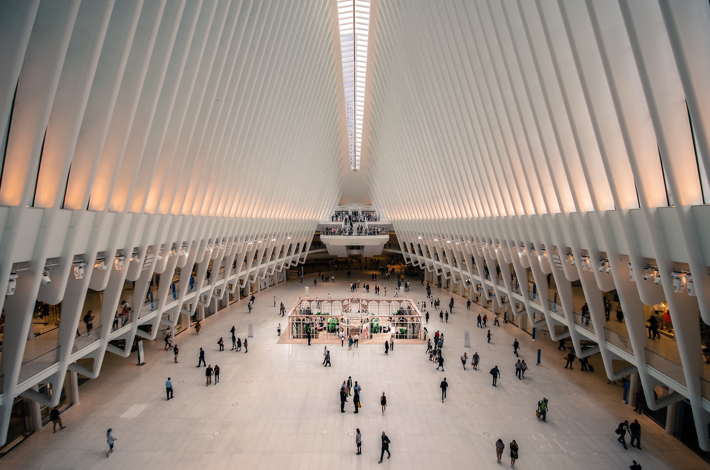 In the belly of the steel whale