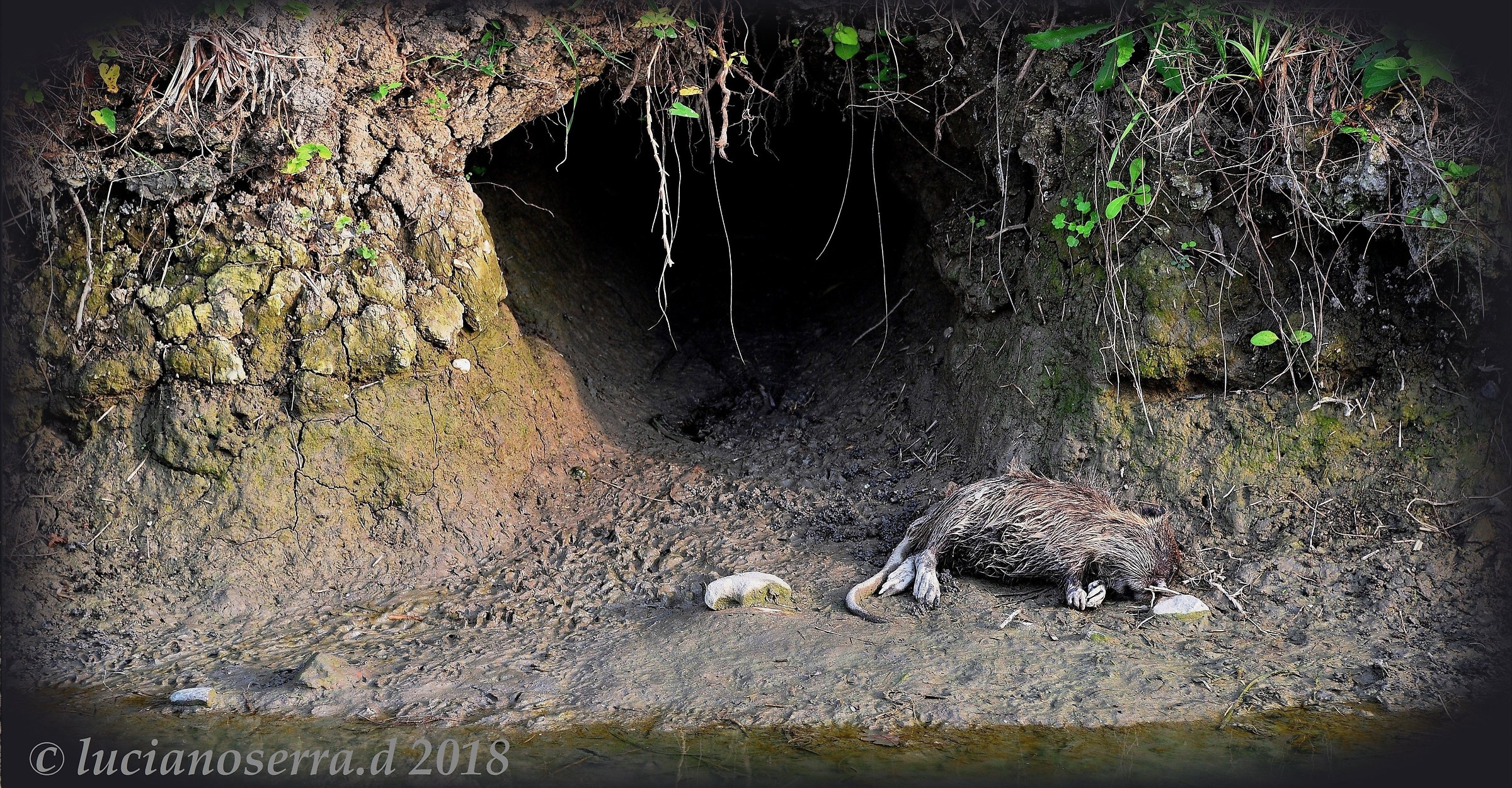 To go away... while remaining in front of the house