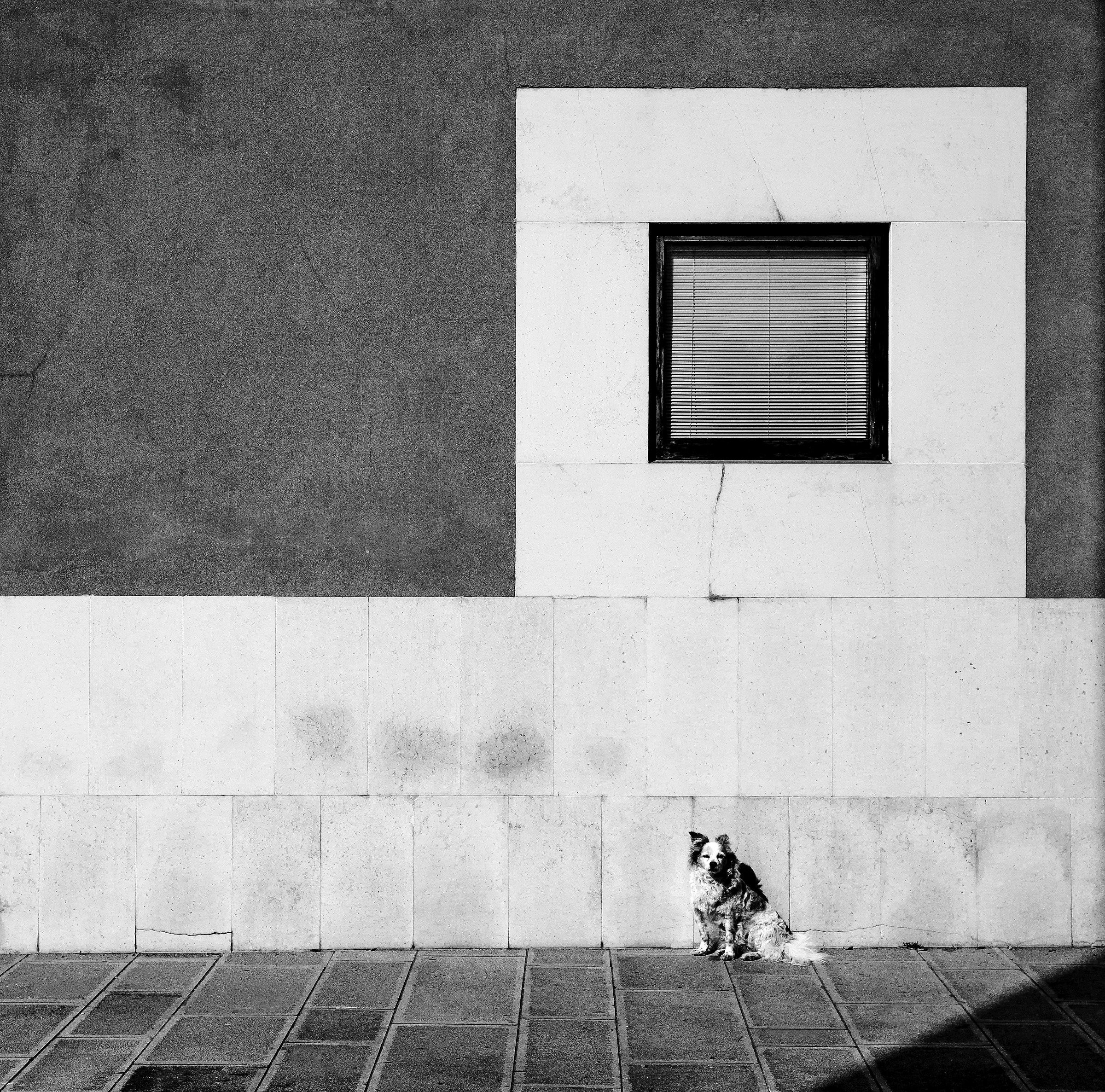 il guardiano delle  geometrie.