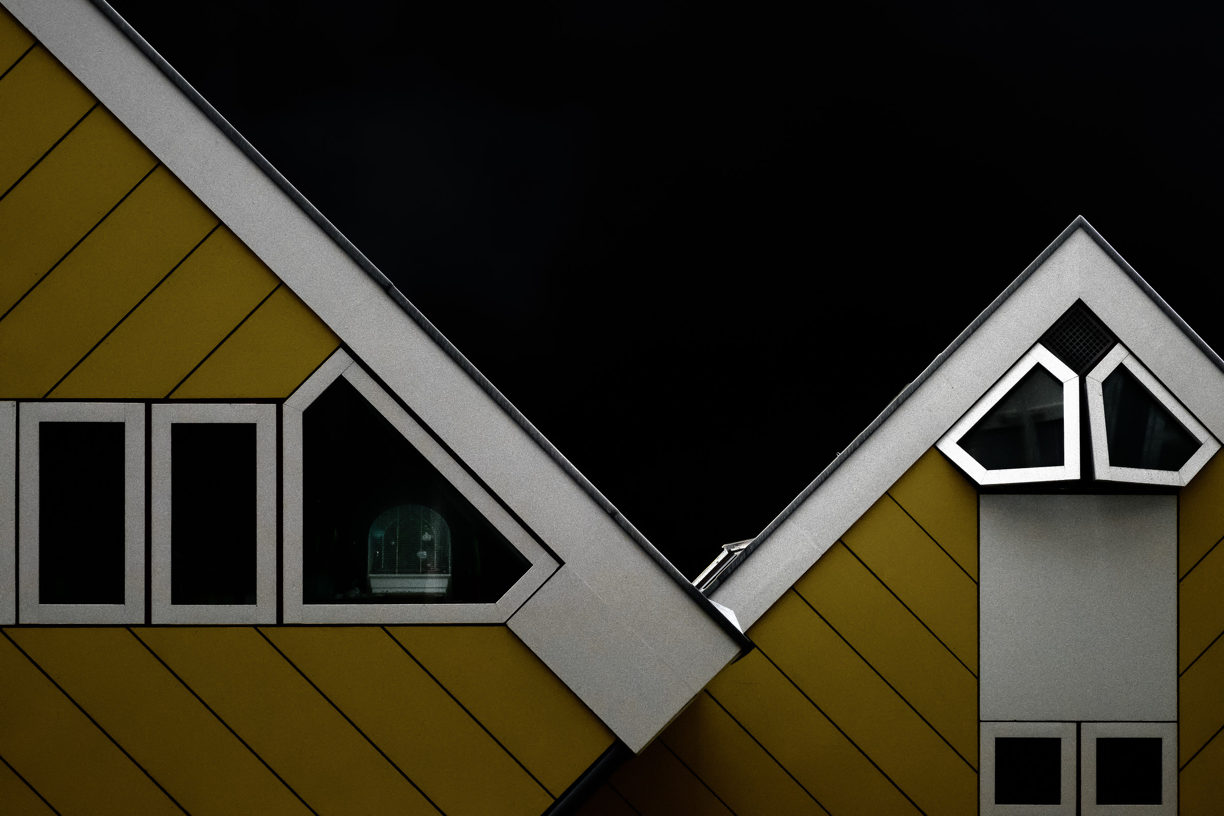 Tweety is not in the house