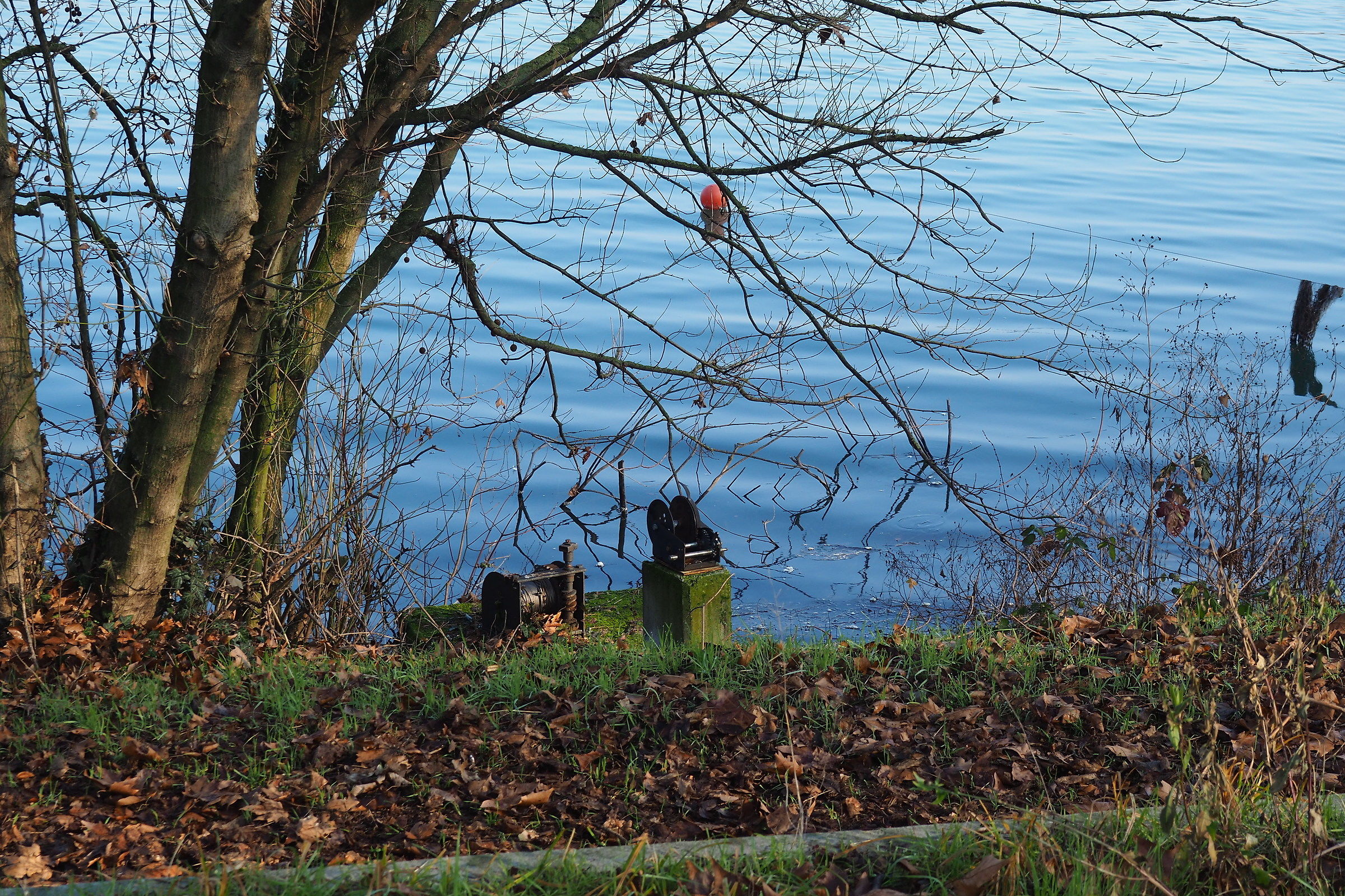 Inverno all'Idroscalo, Milano
