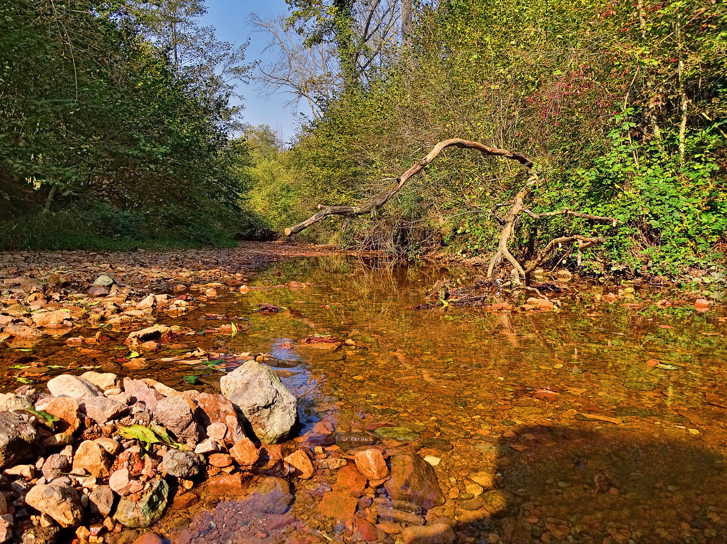 Rio dal fondale rosso (con TuFuse *gratuito*)