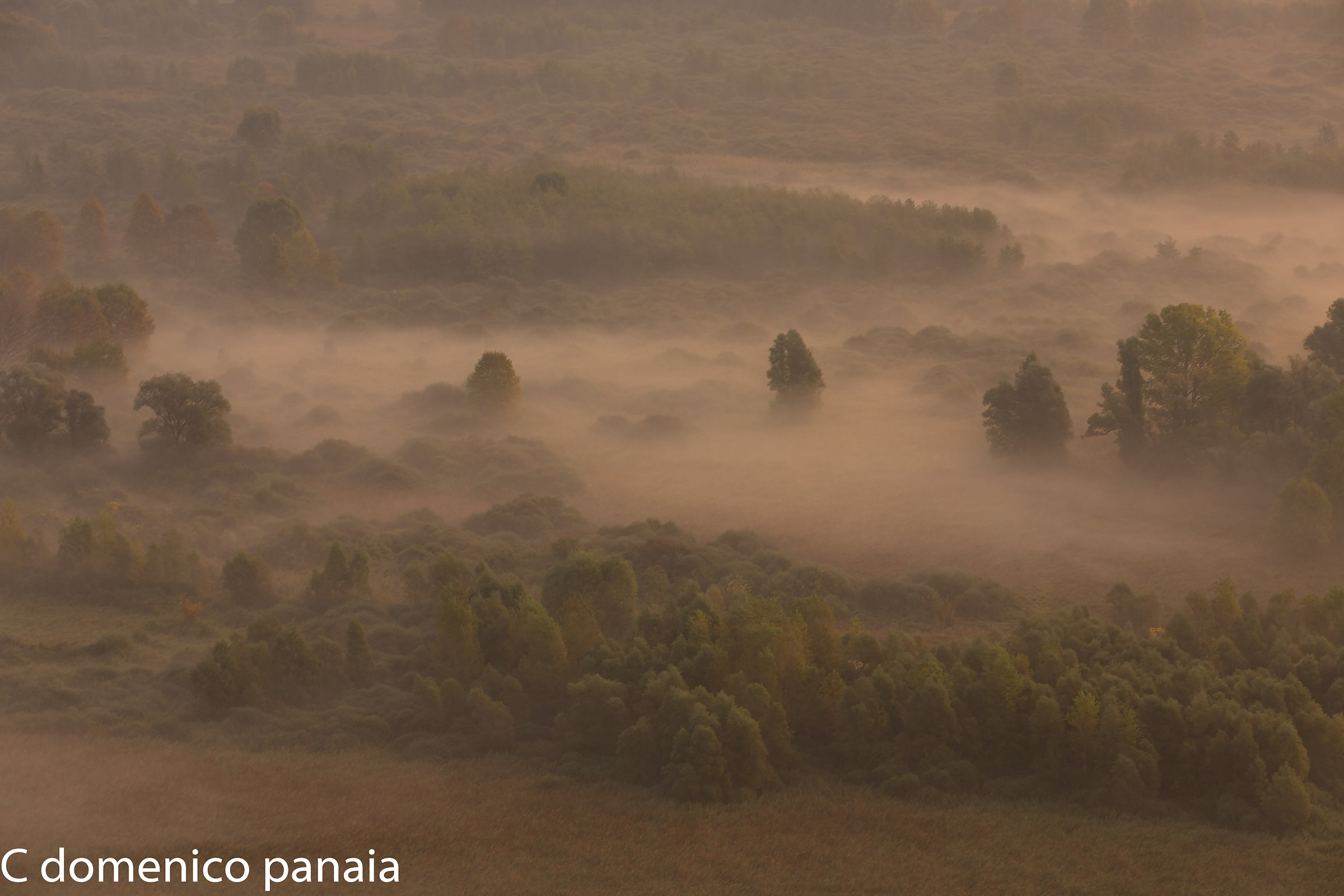 un classico d'autunno
